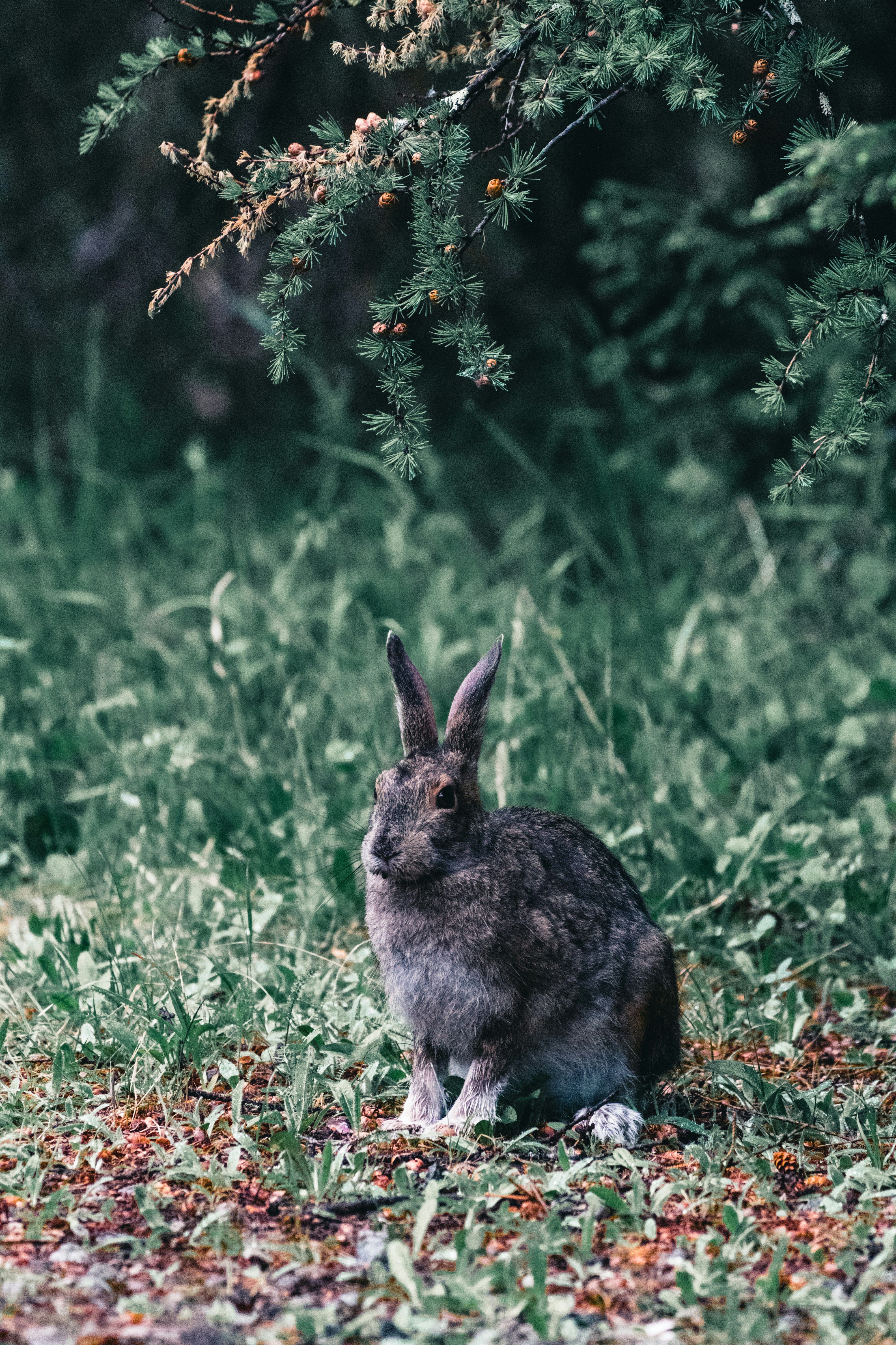 Photo by lureofadventure