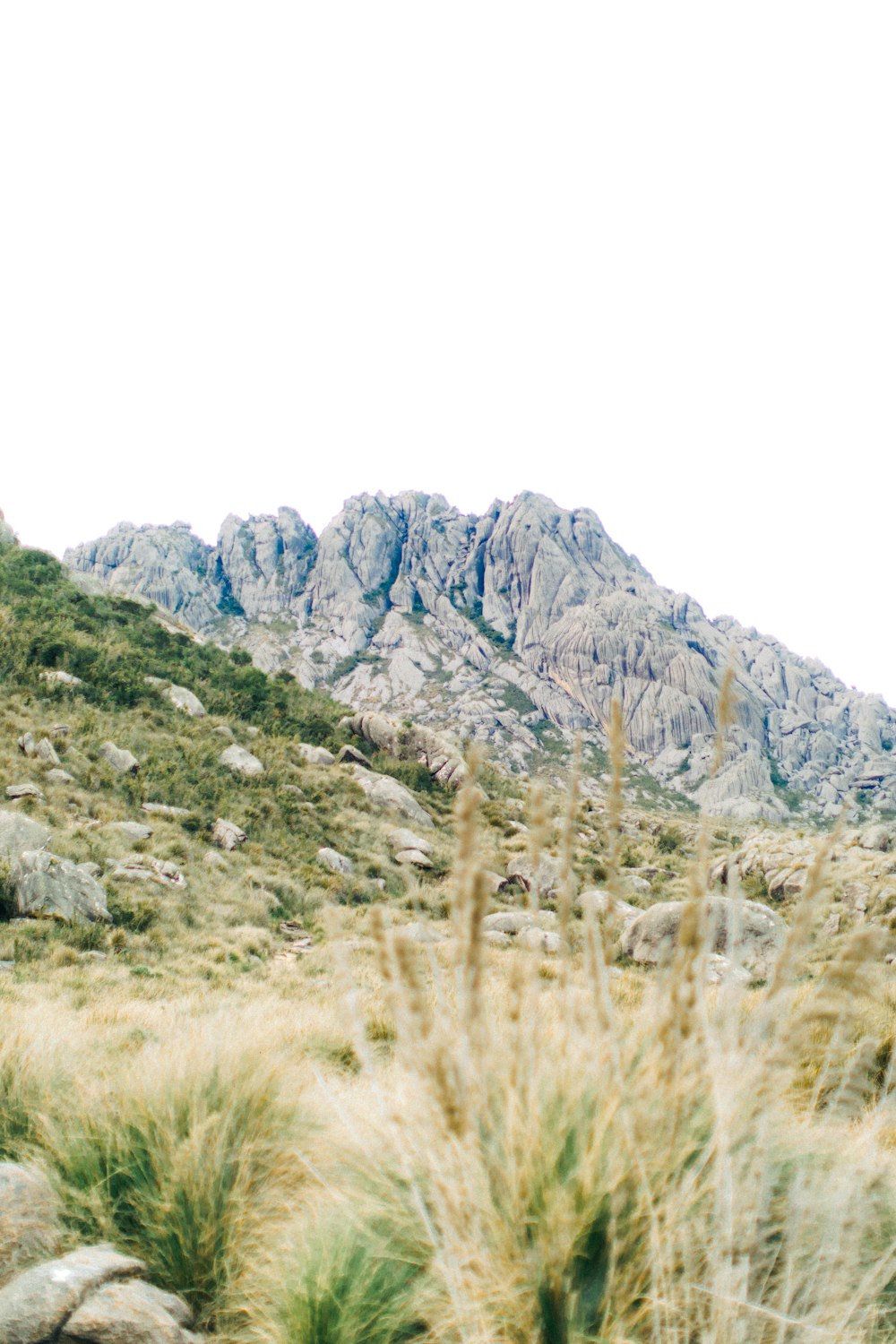 a mountain range with grass and rocks in the foreground