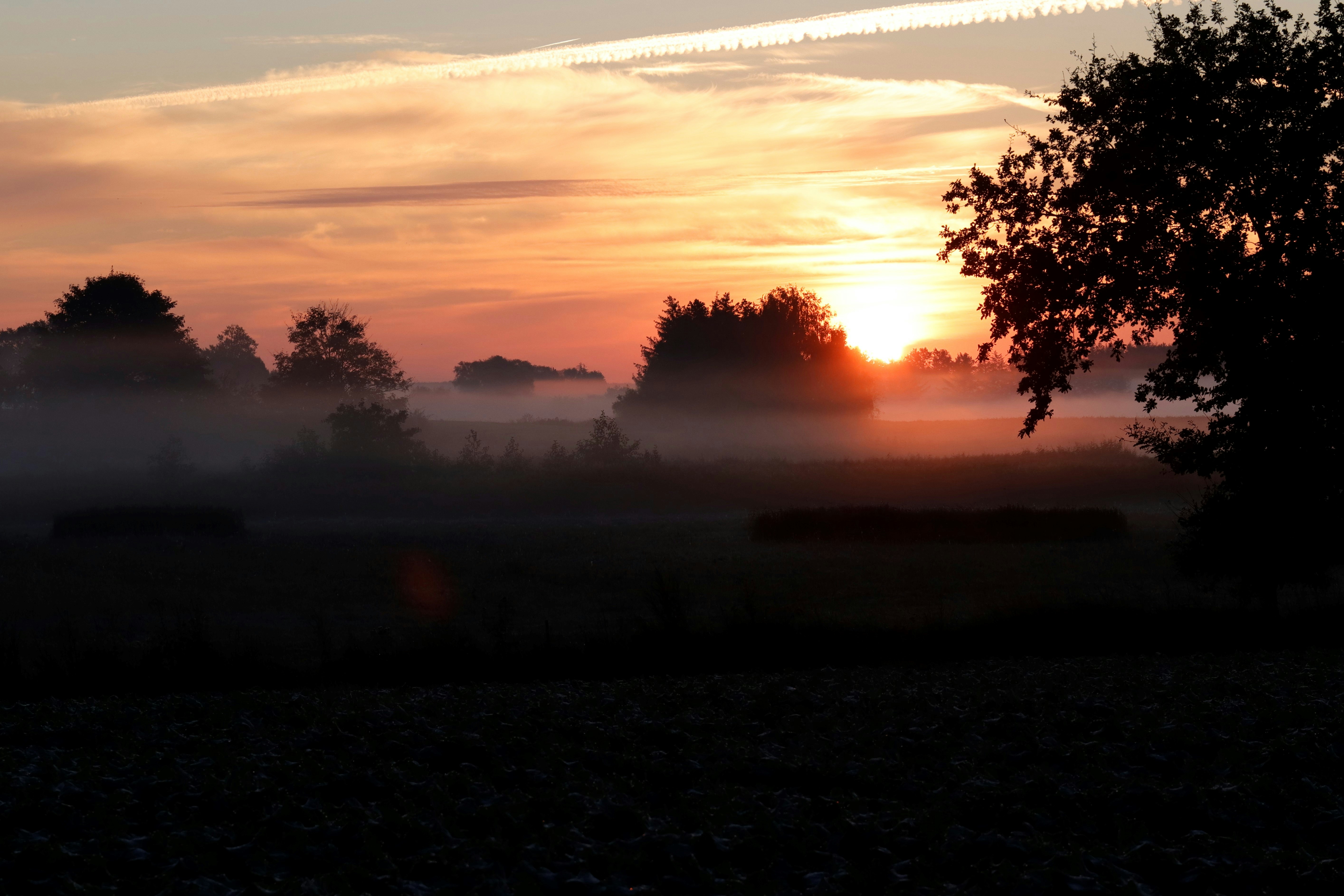 Photo by henrik_hansen