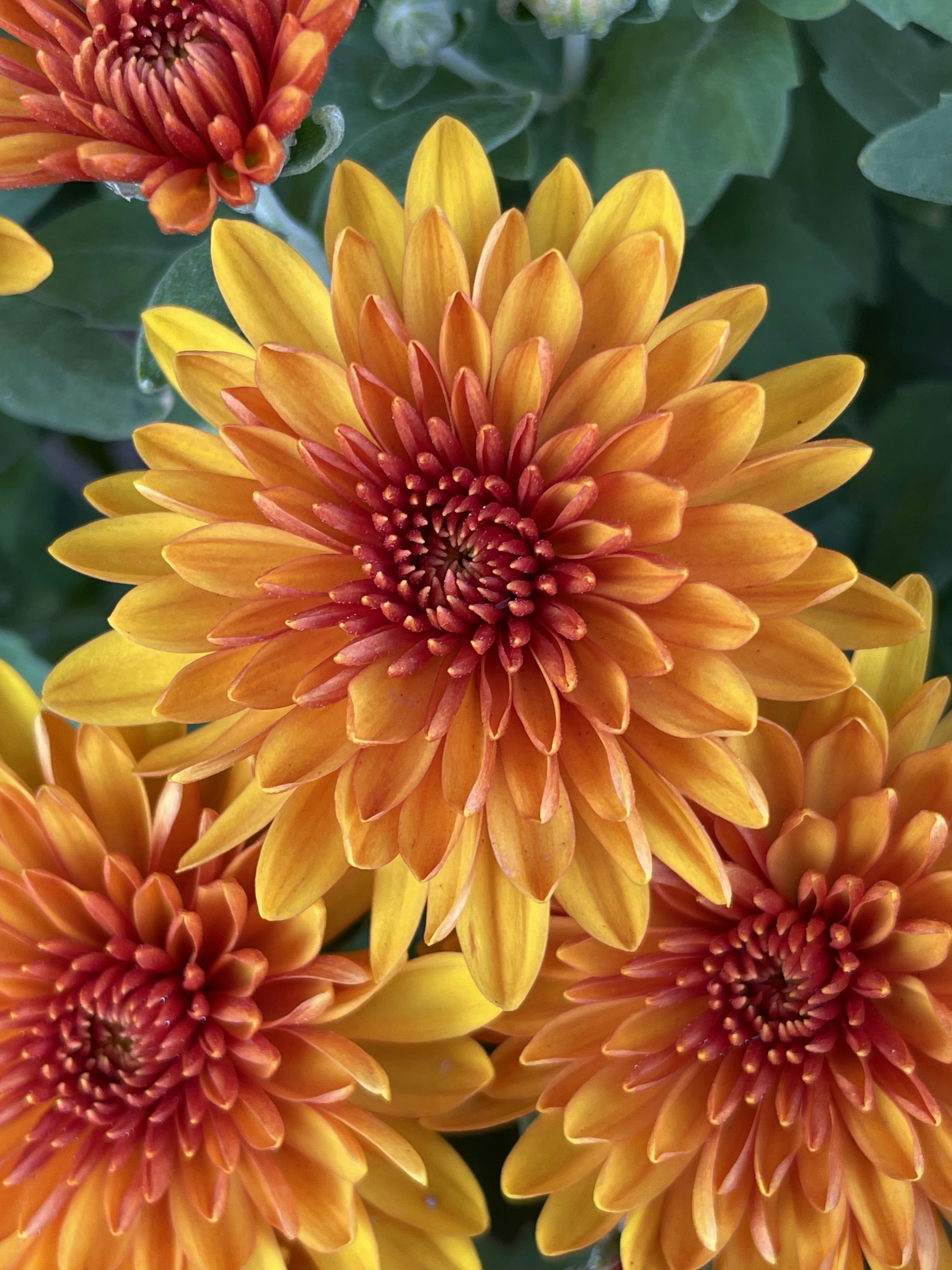 Photo by marcie_kennedy