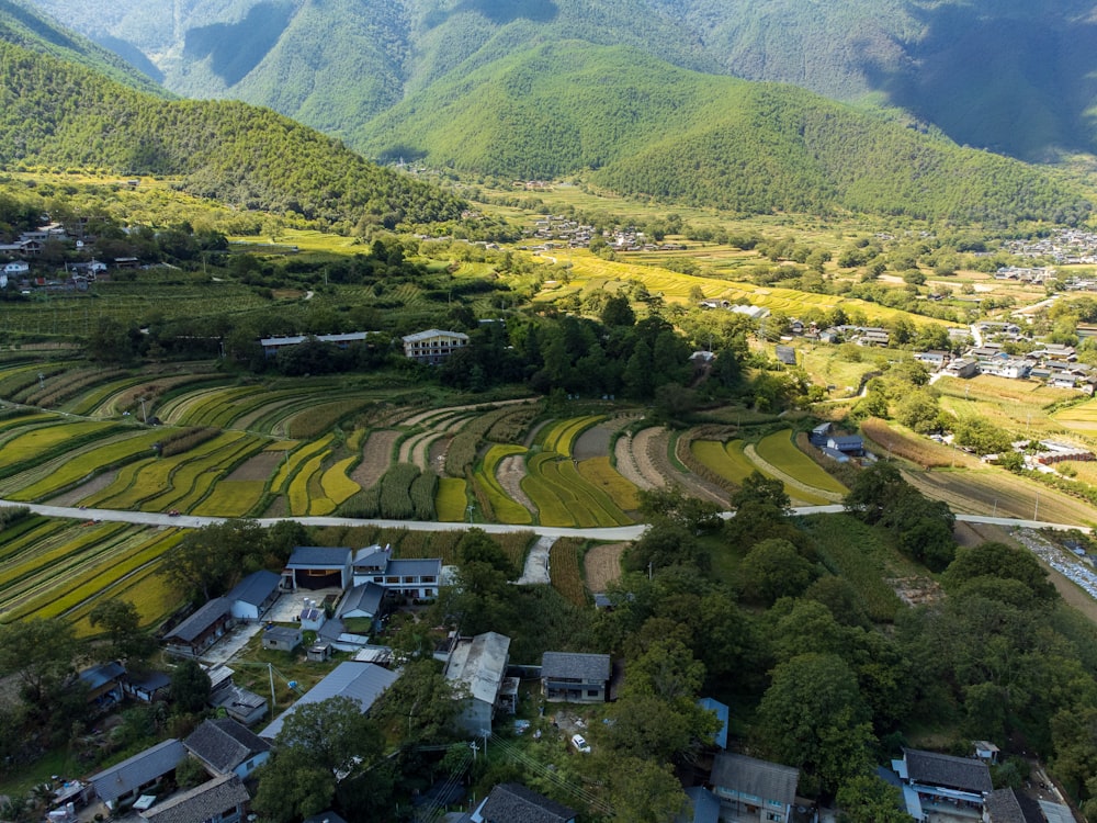 Una vista aérea de un campo de arroz en las montañas