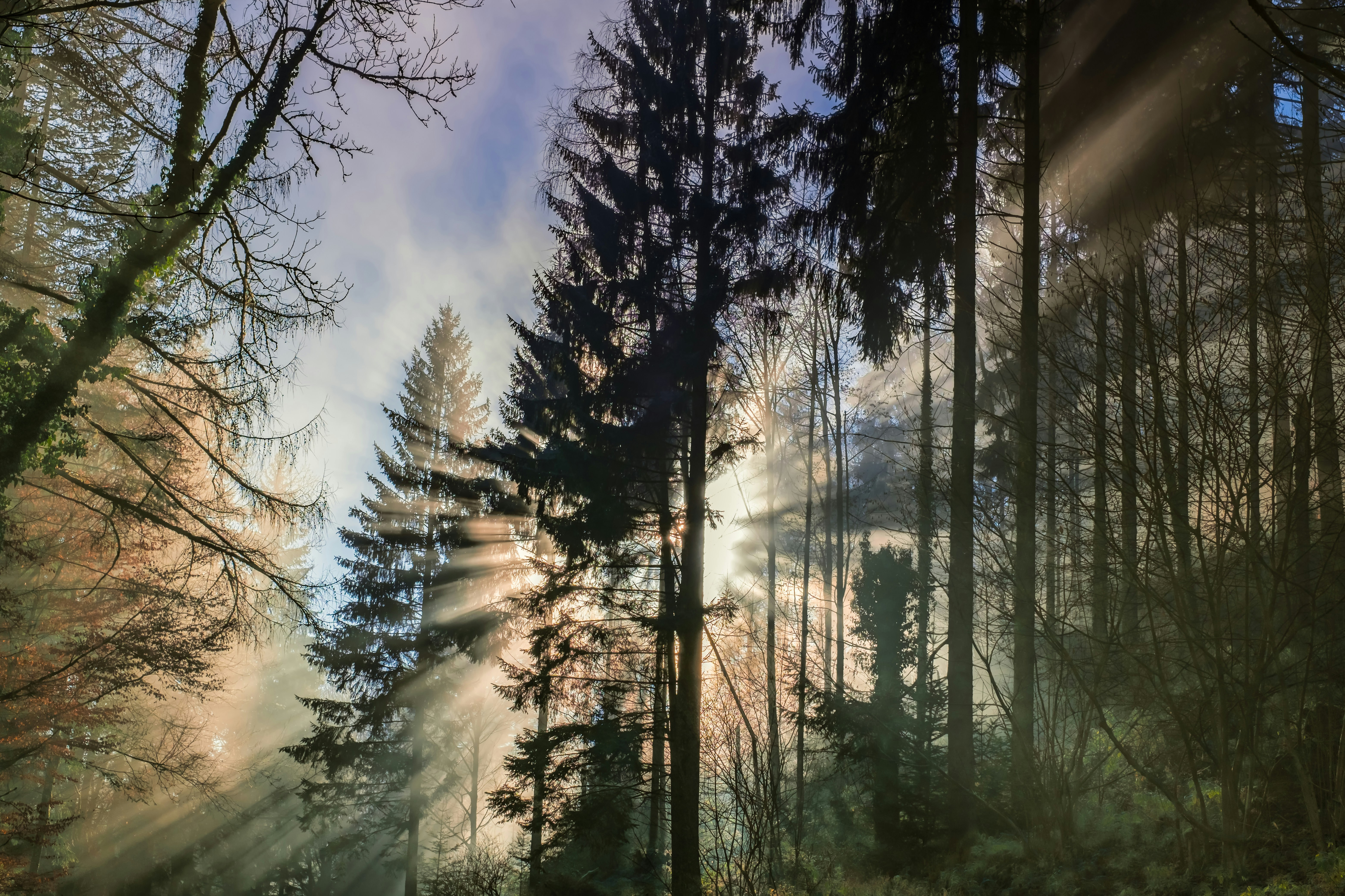 Photo by couleuroriginal