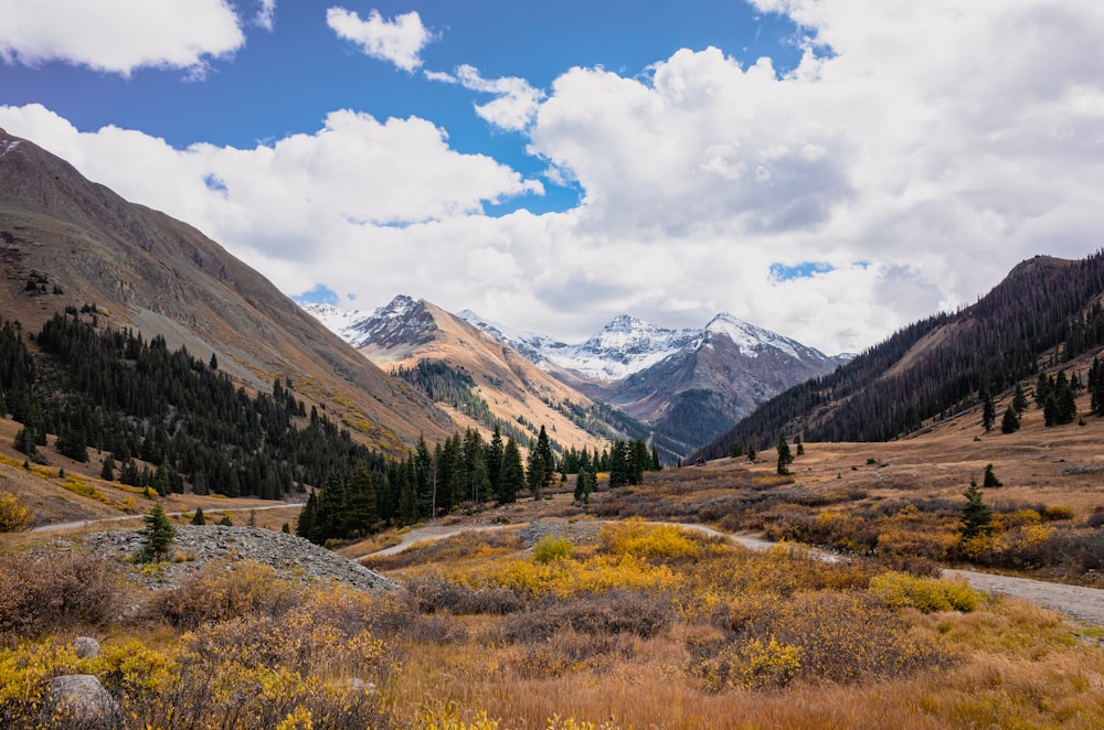 a scenic view of a valley with mountains in the background