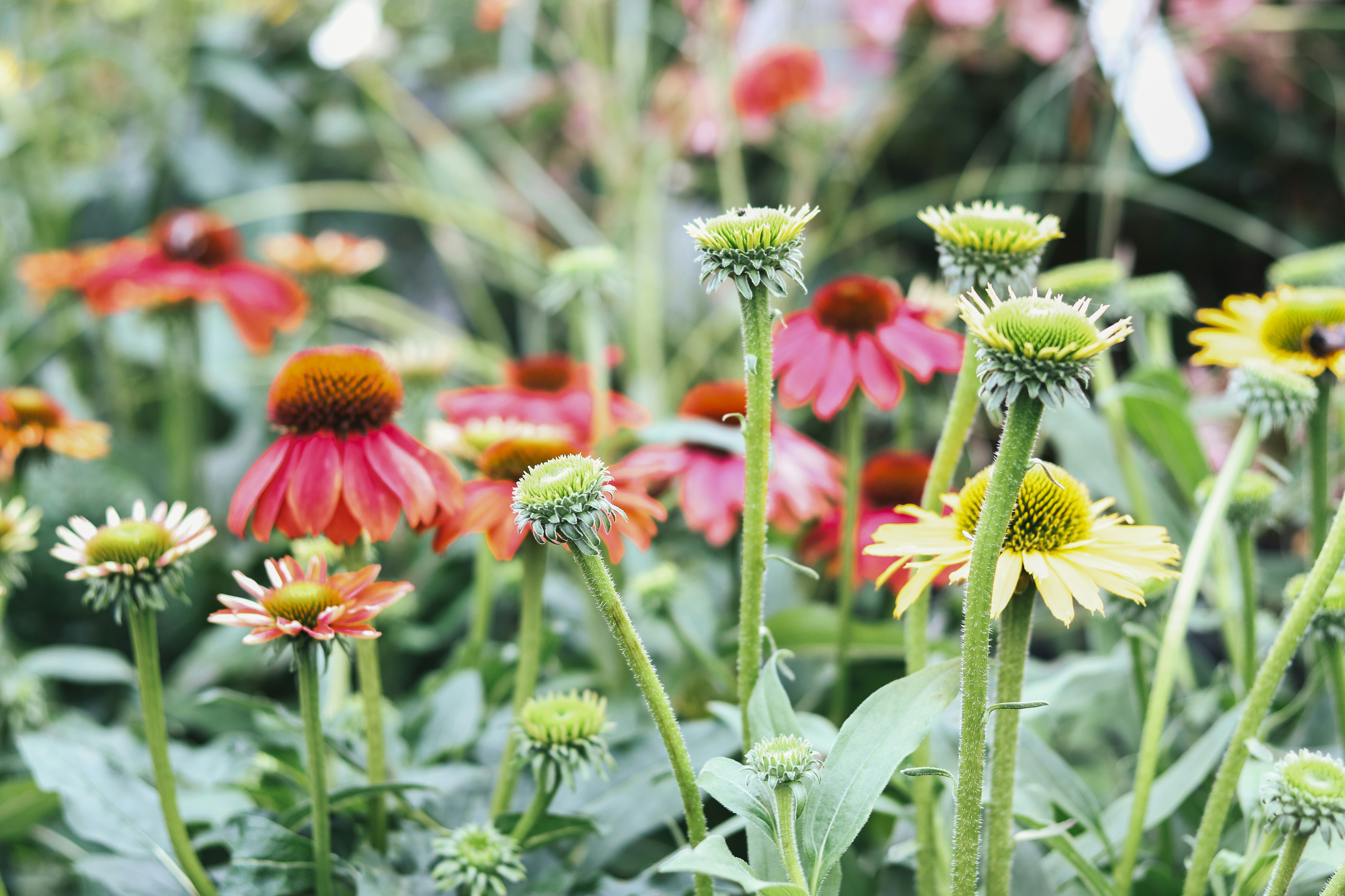 Photo by honeypoppet