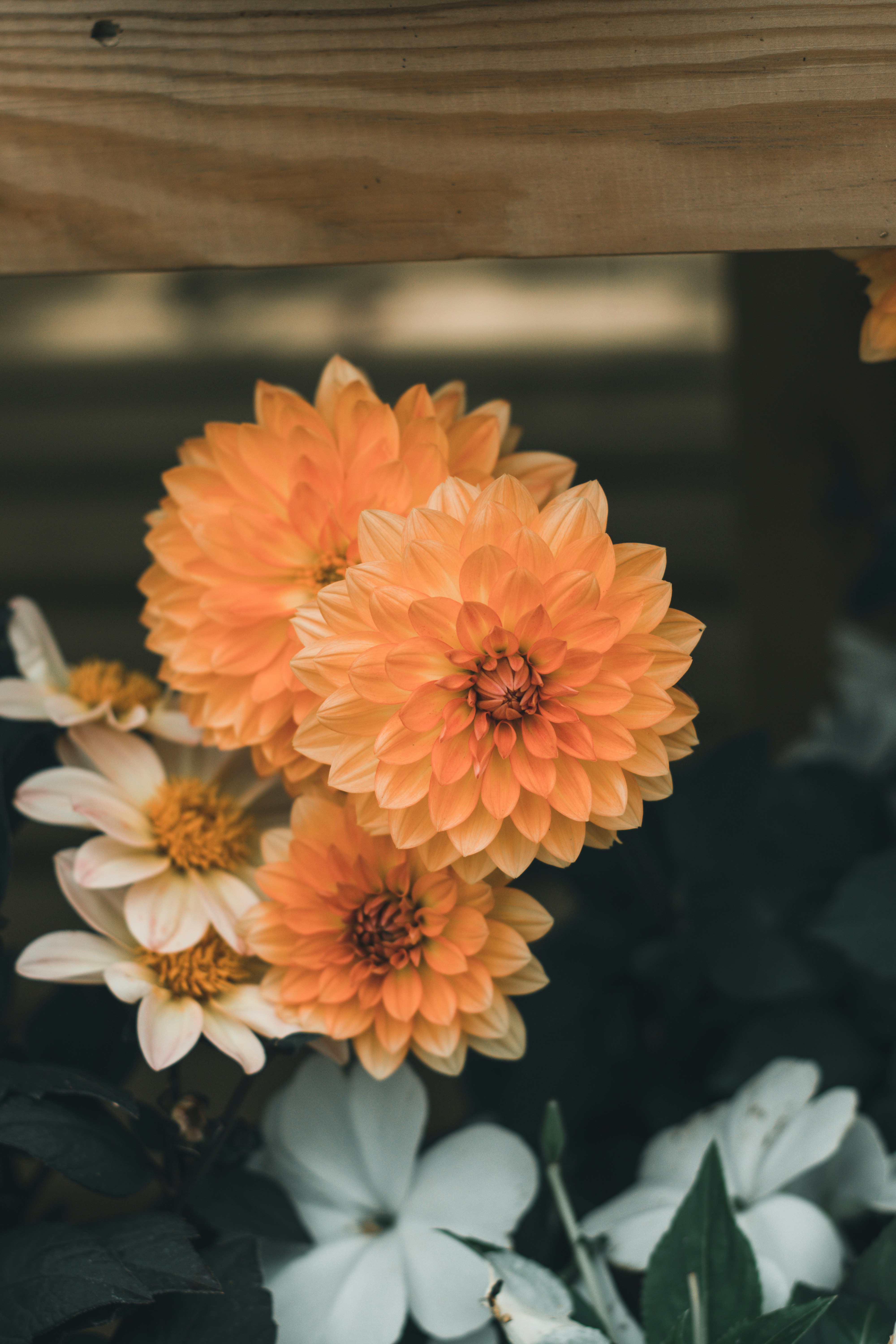 Photo by honeypoppet