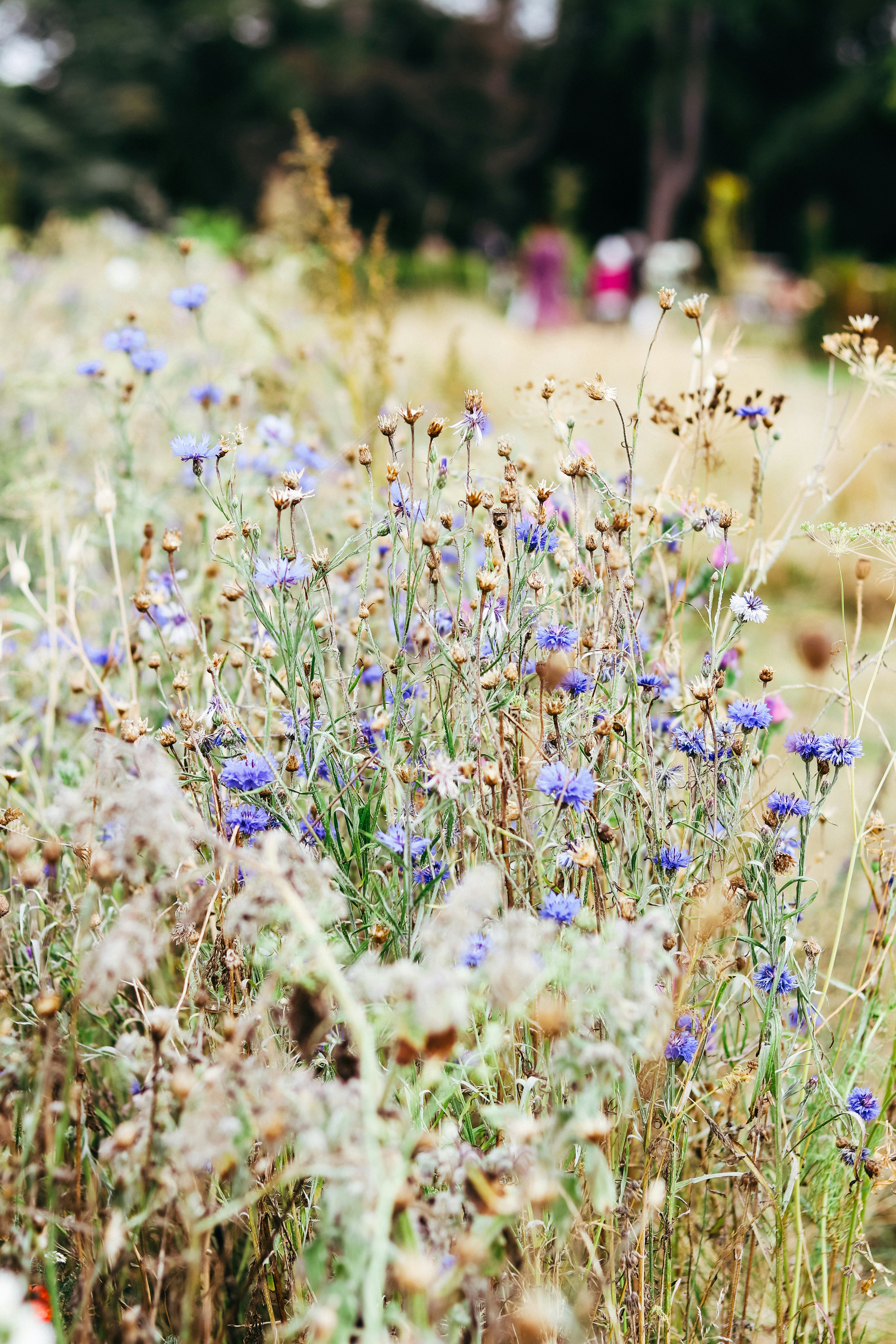 Photo by honeypoppet