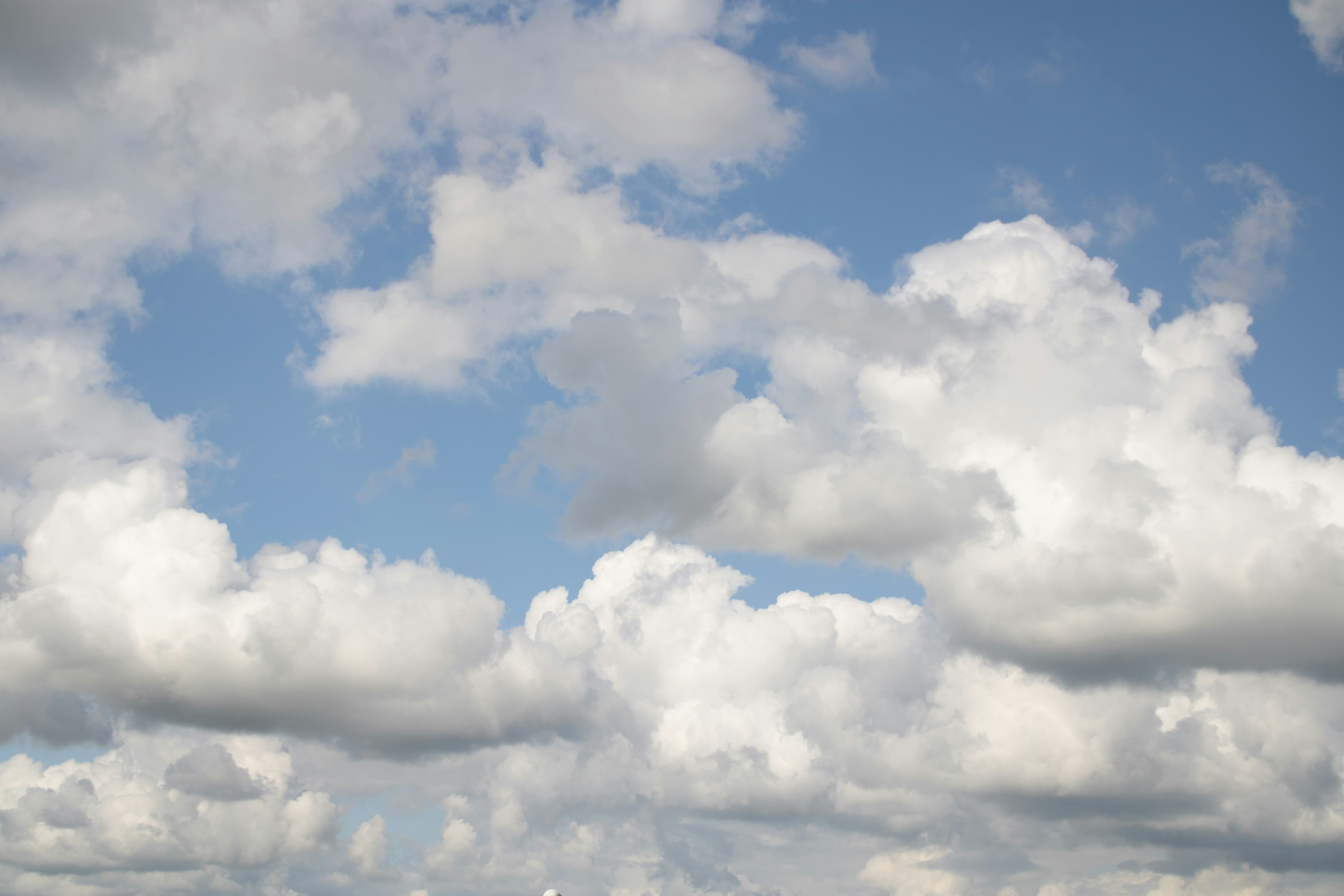 Photo by mirkofabian