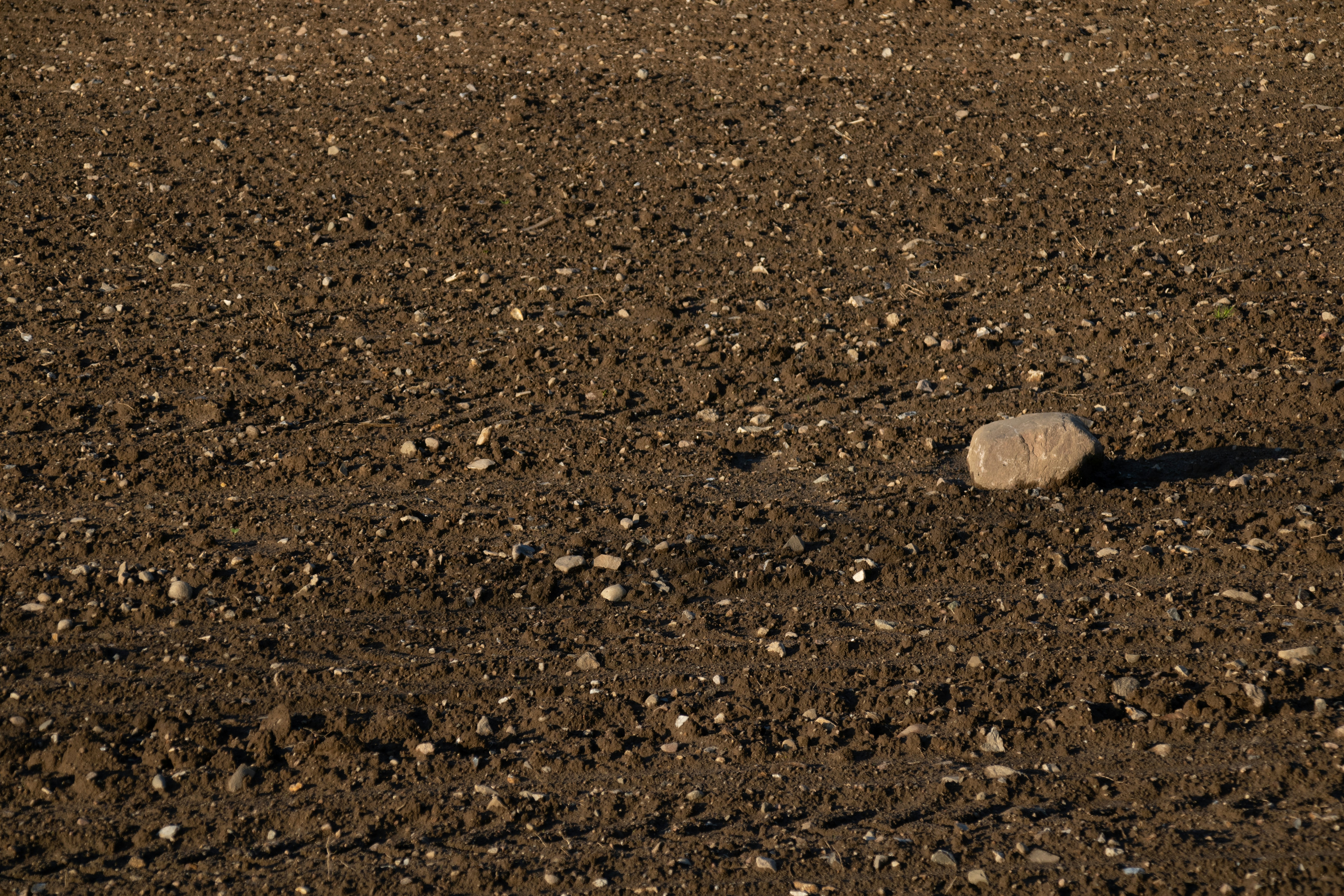 Photo by mirkofabian