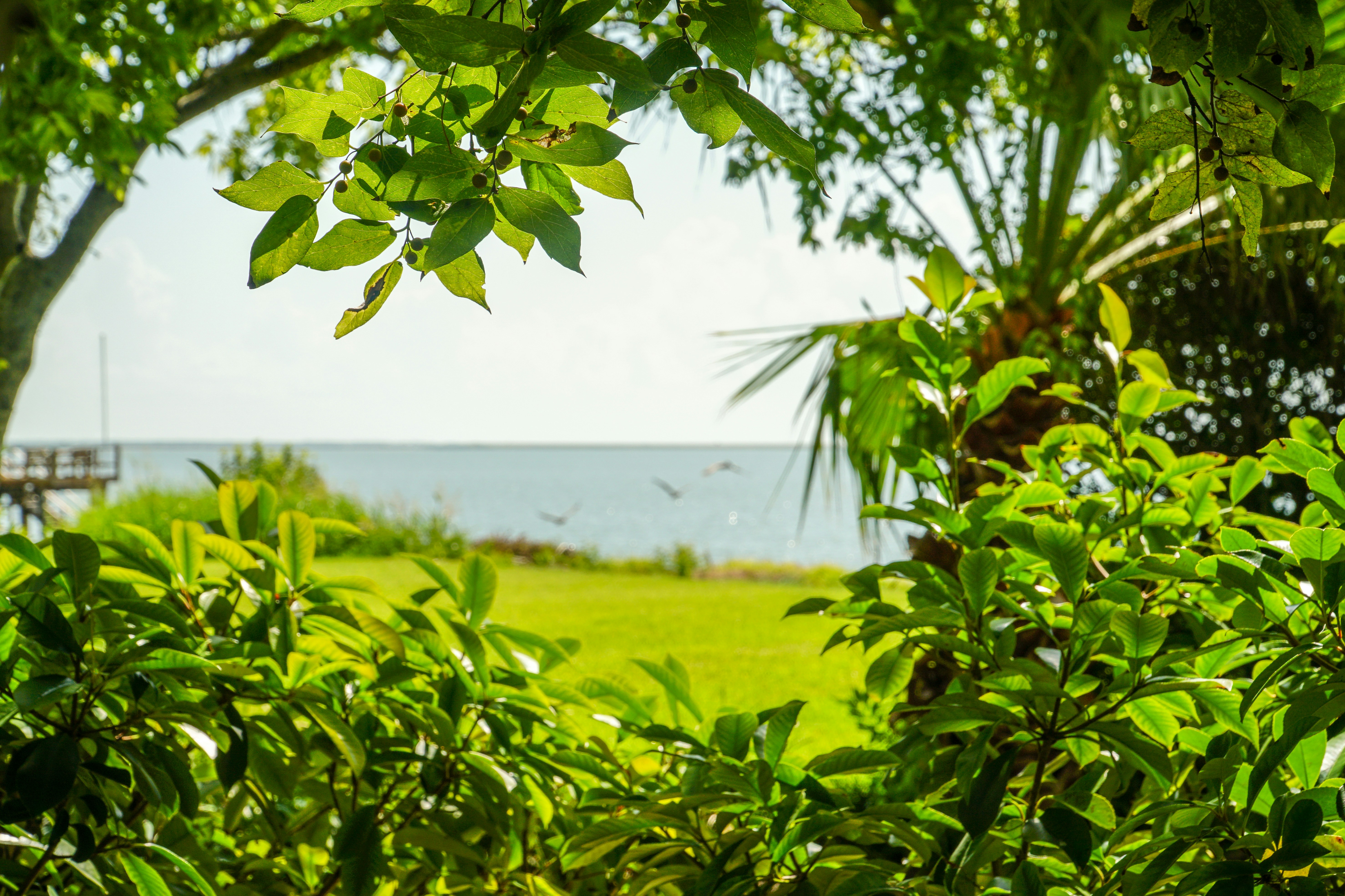 Photo by thomascpark