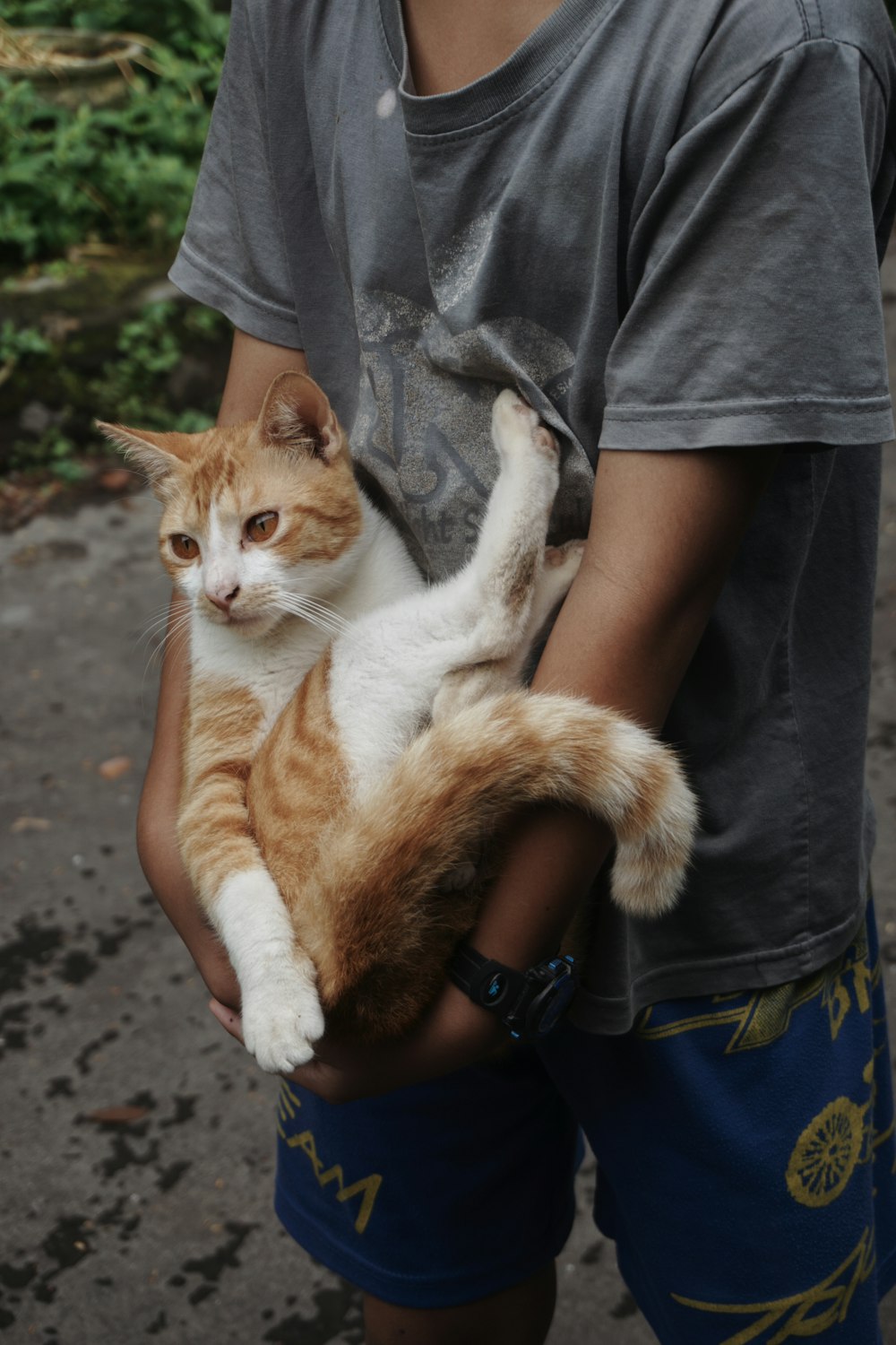 a young boy holding a cat in his hands