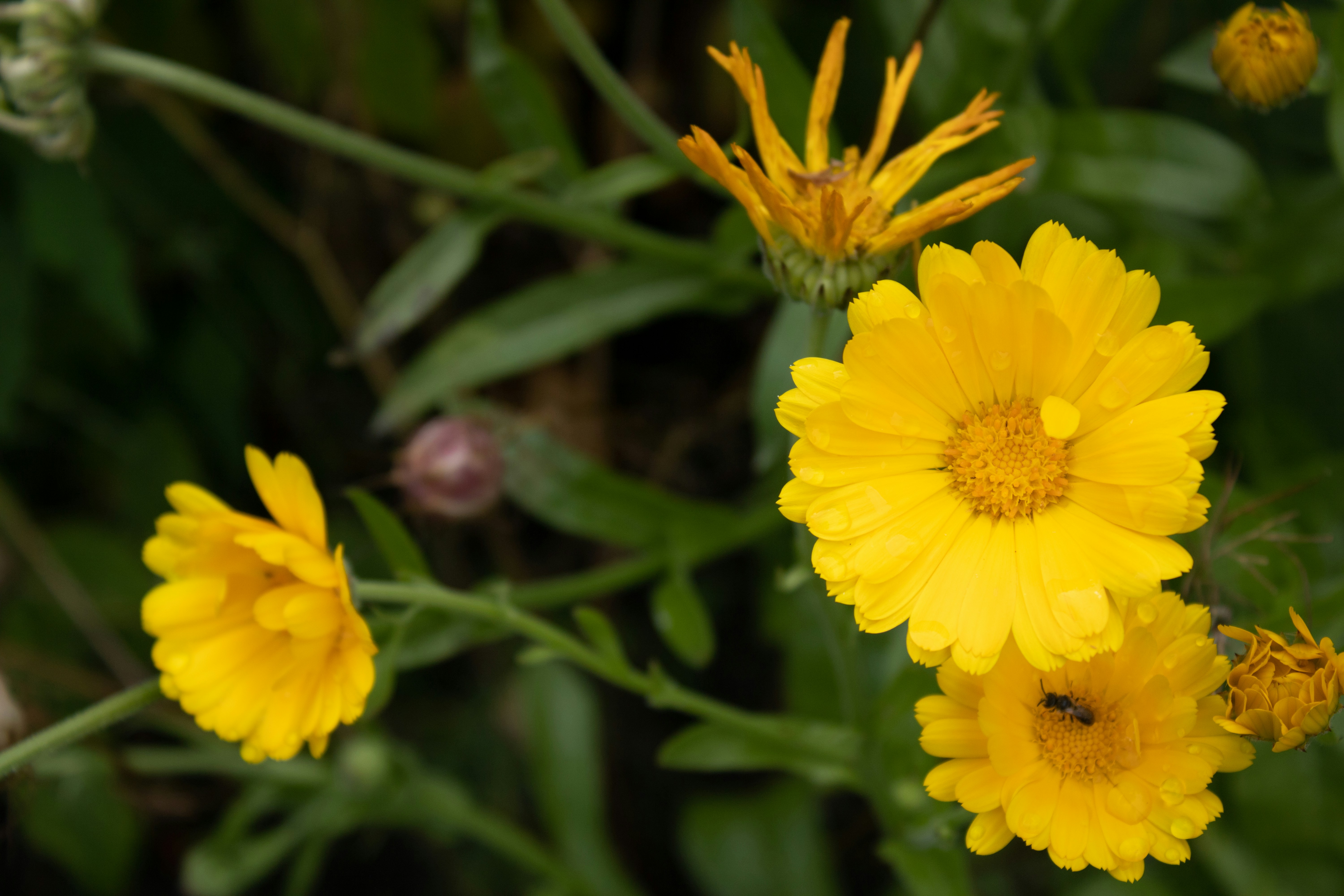 Photo by mirkofabian