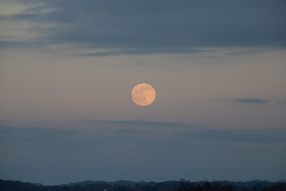a full moon is seen in the sky above a field