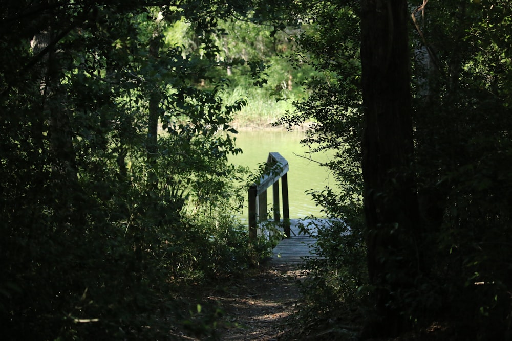 a person standing on a wooden bridge in the woods