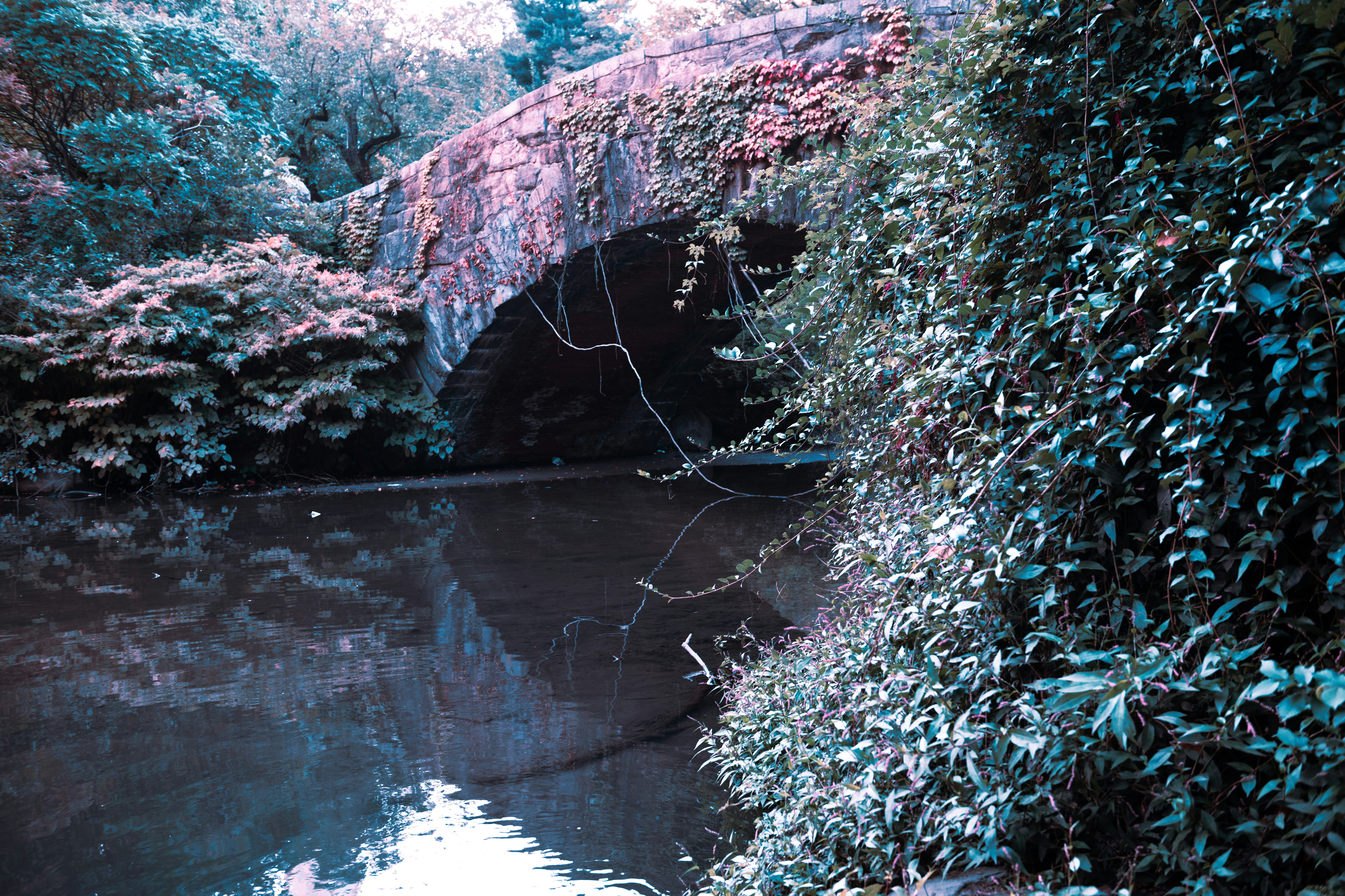 Photo by sriniunsplash