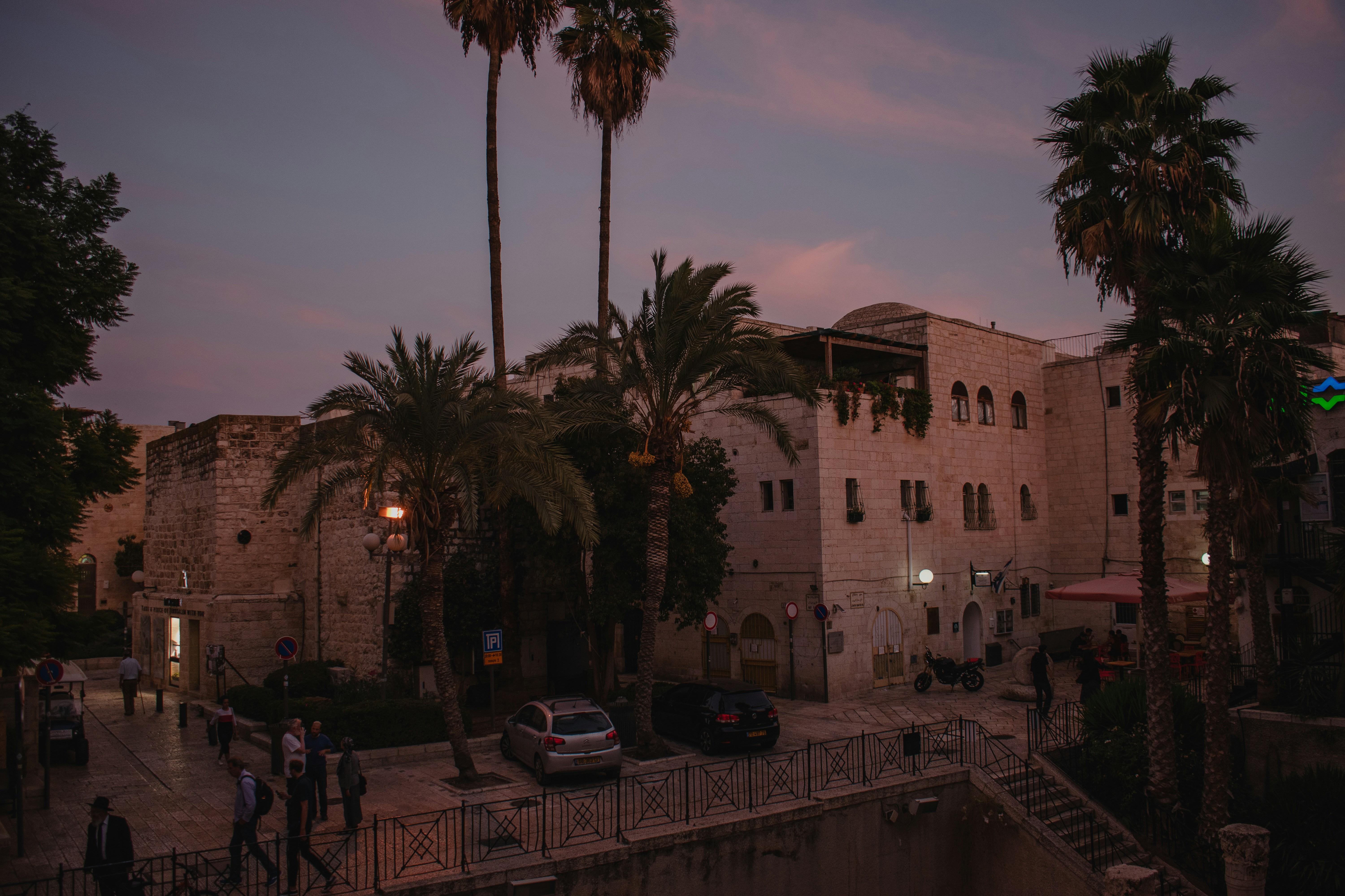 a group of people walking down a street next to palm trees