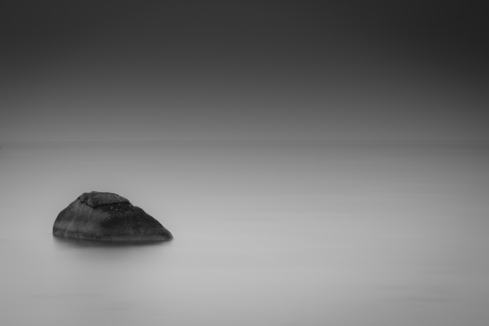 a black and white photo of a rock in the water