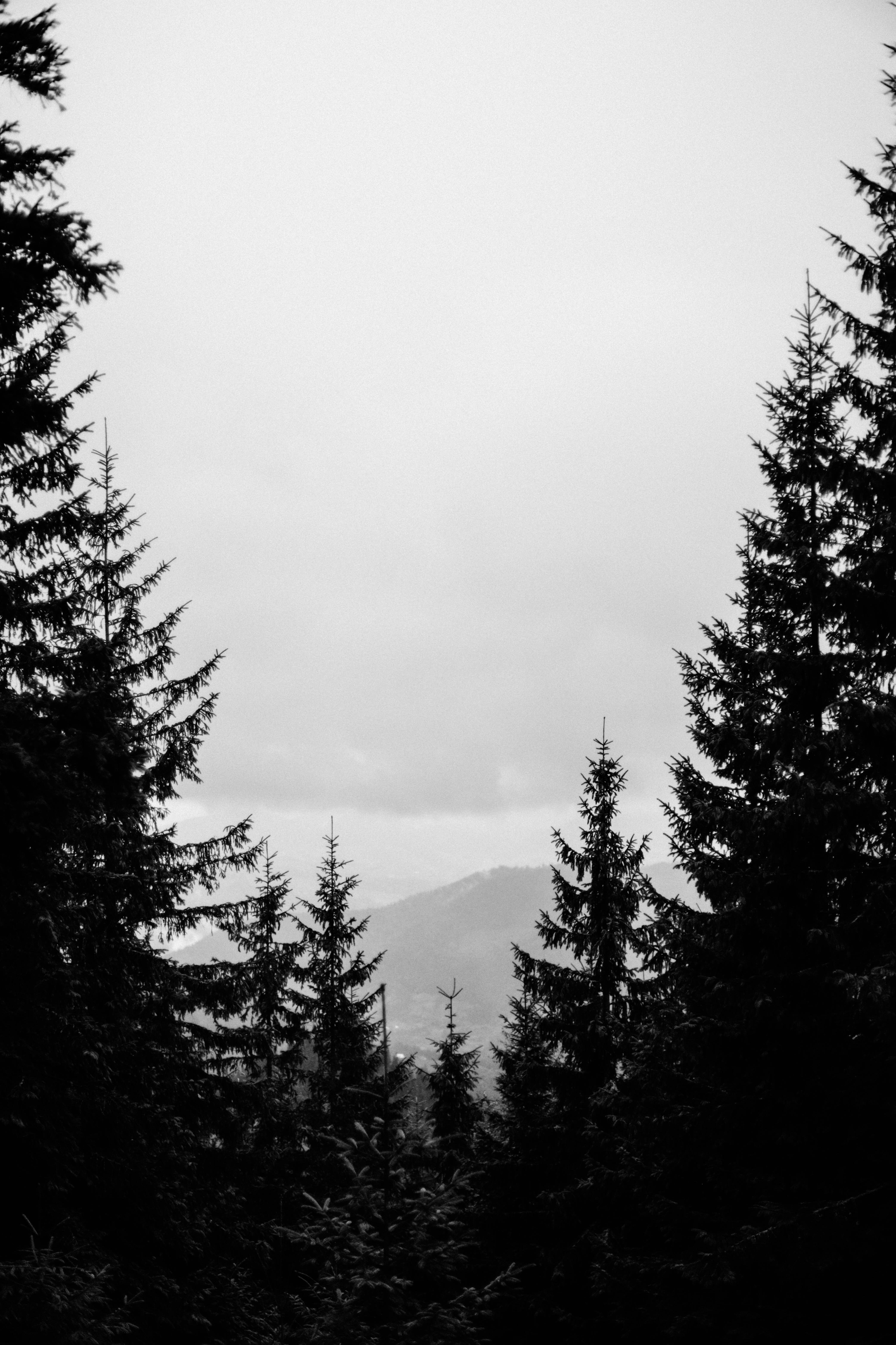 Photo by sasharubaniuk