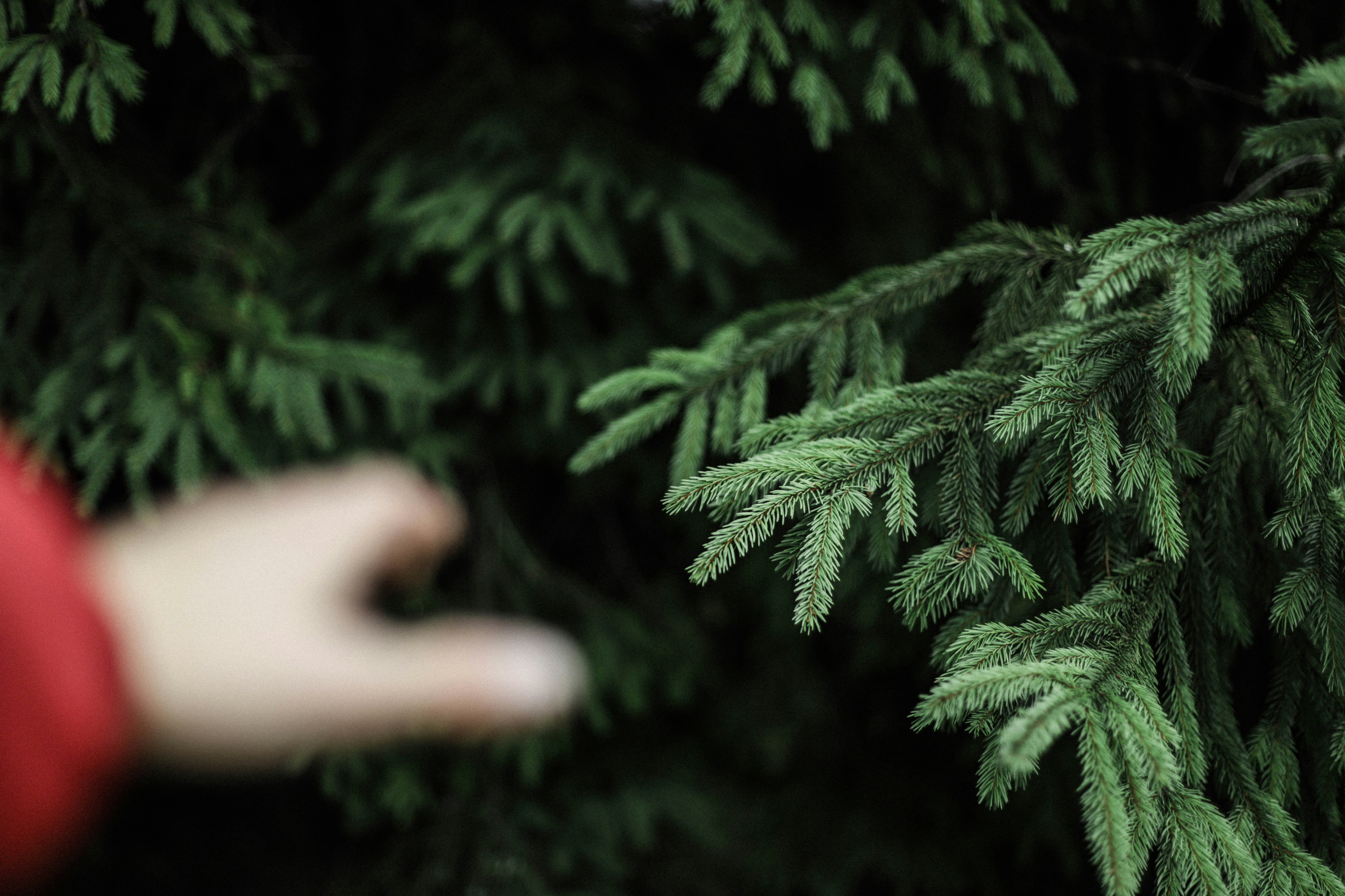 Photo by sasharubaniuk