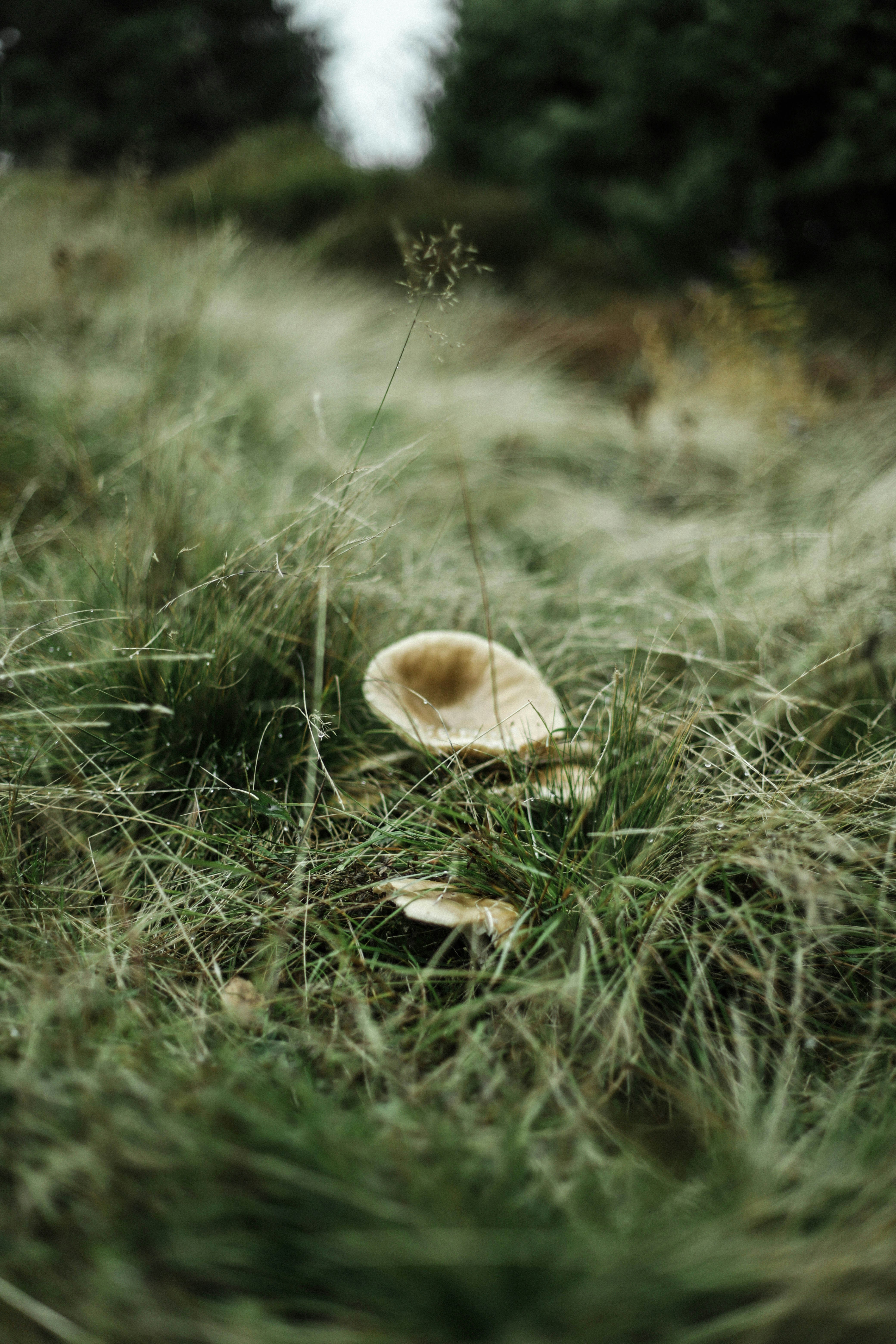 Photo by sasharubaniuk