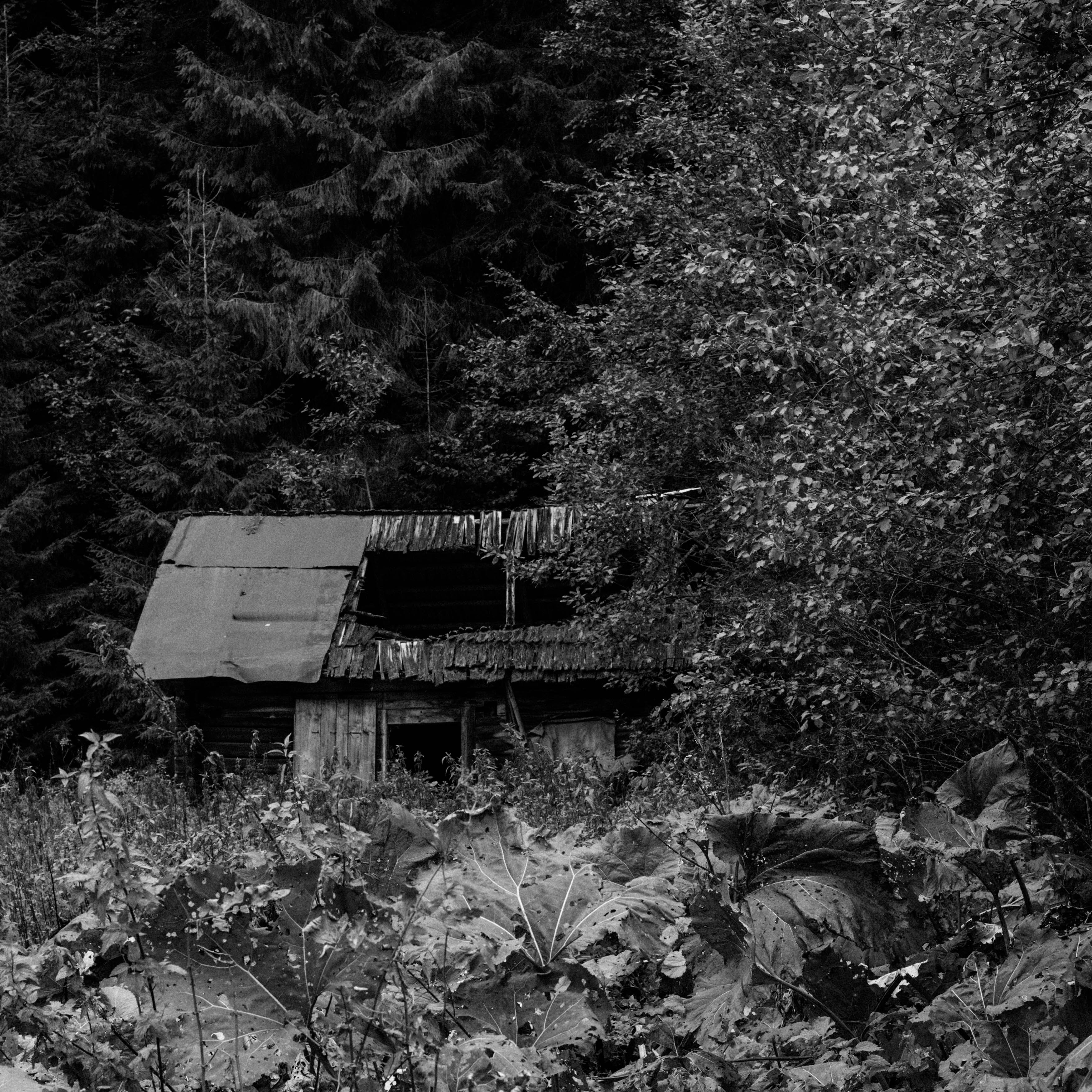 Photo by sasharubaniuk