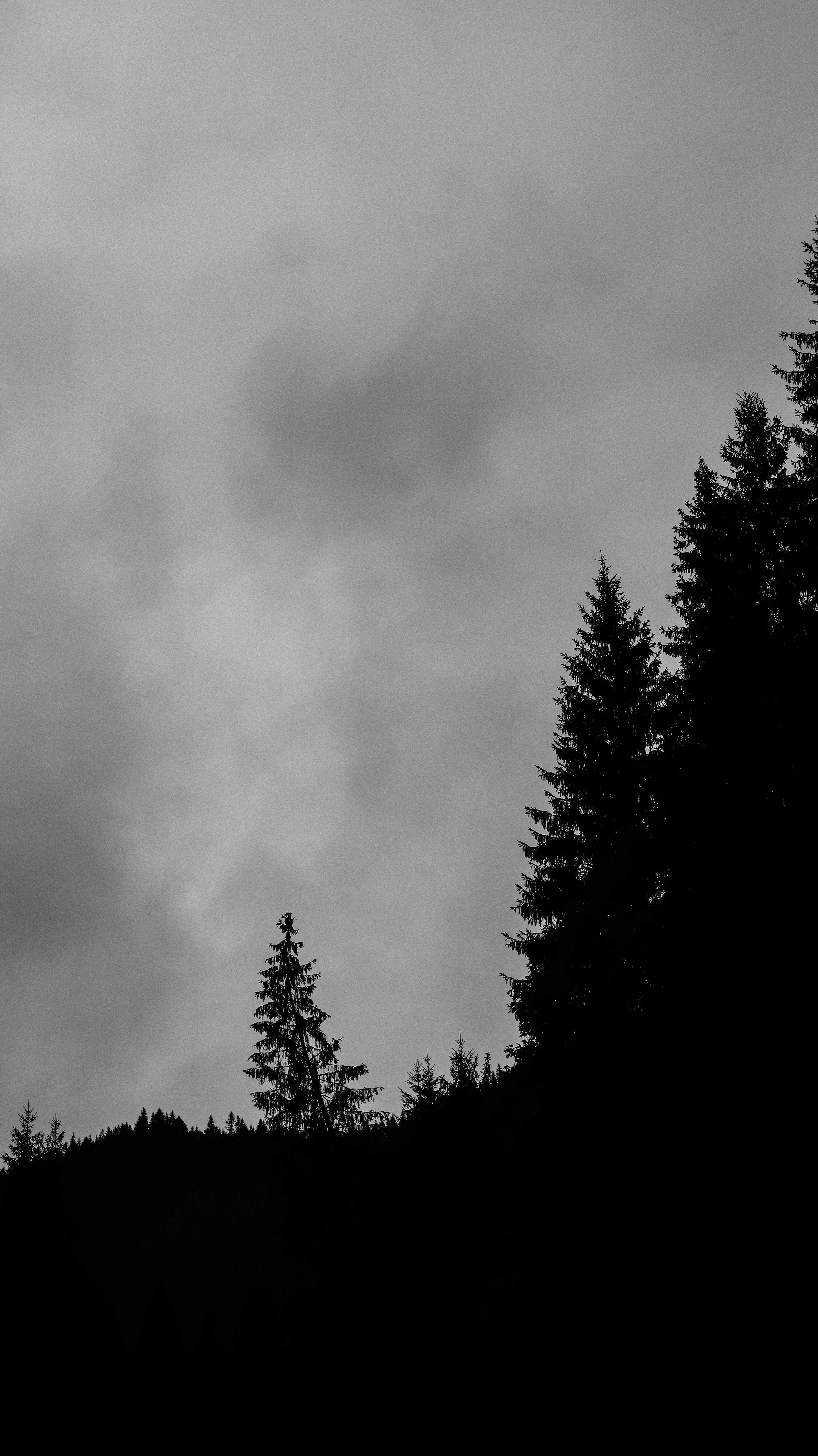 Photo by sasharubaniuk