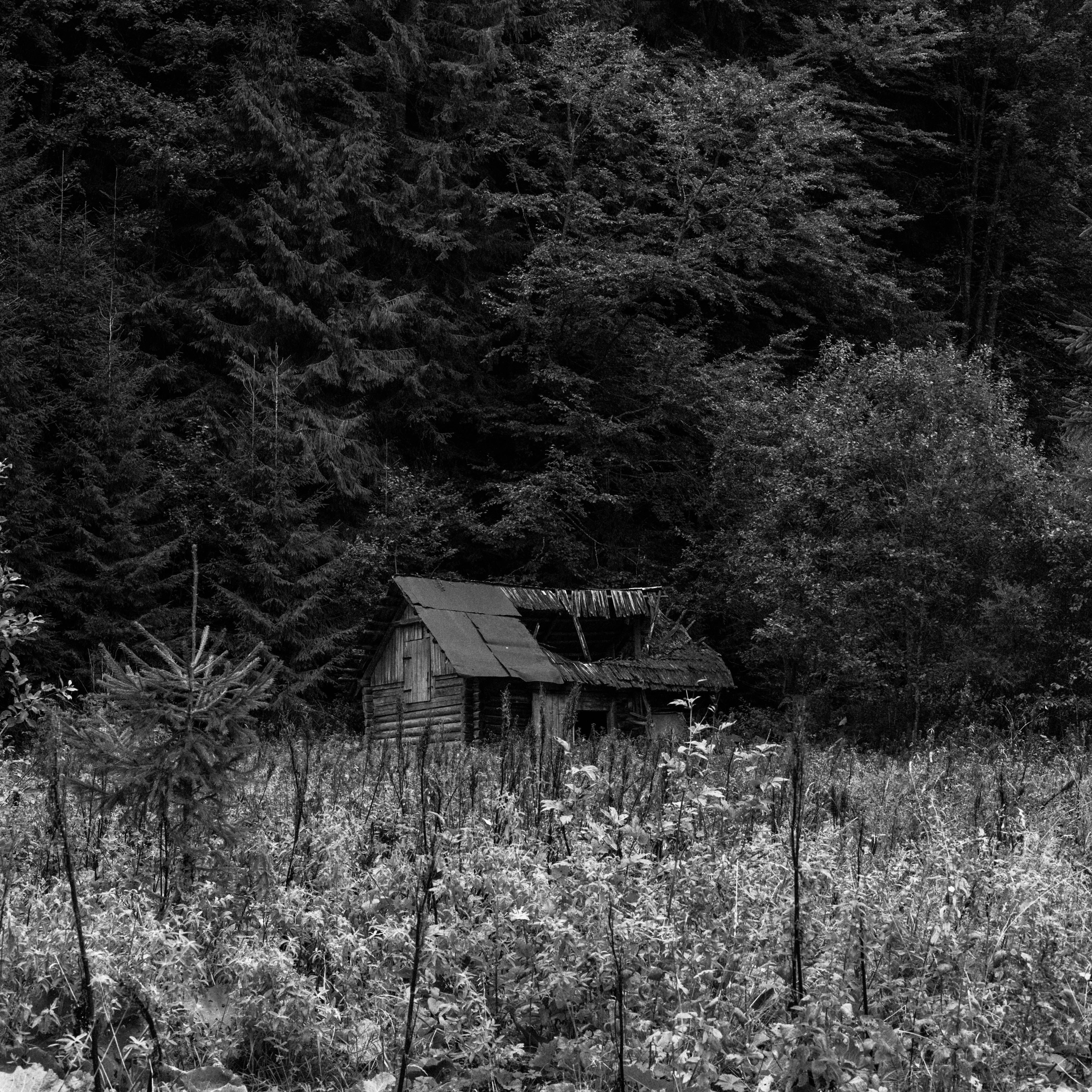 Photo by sasharubaniuk