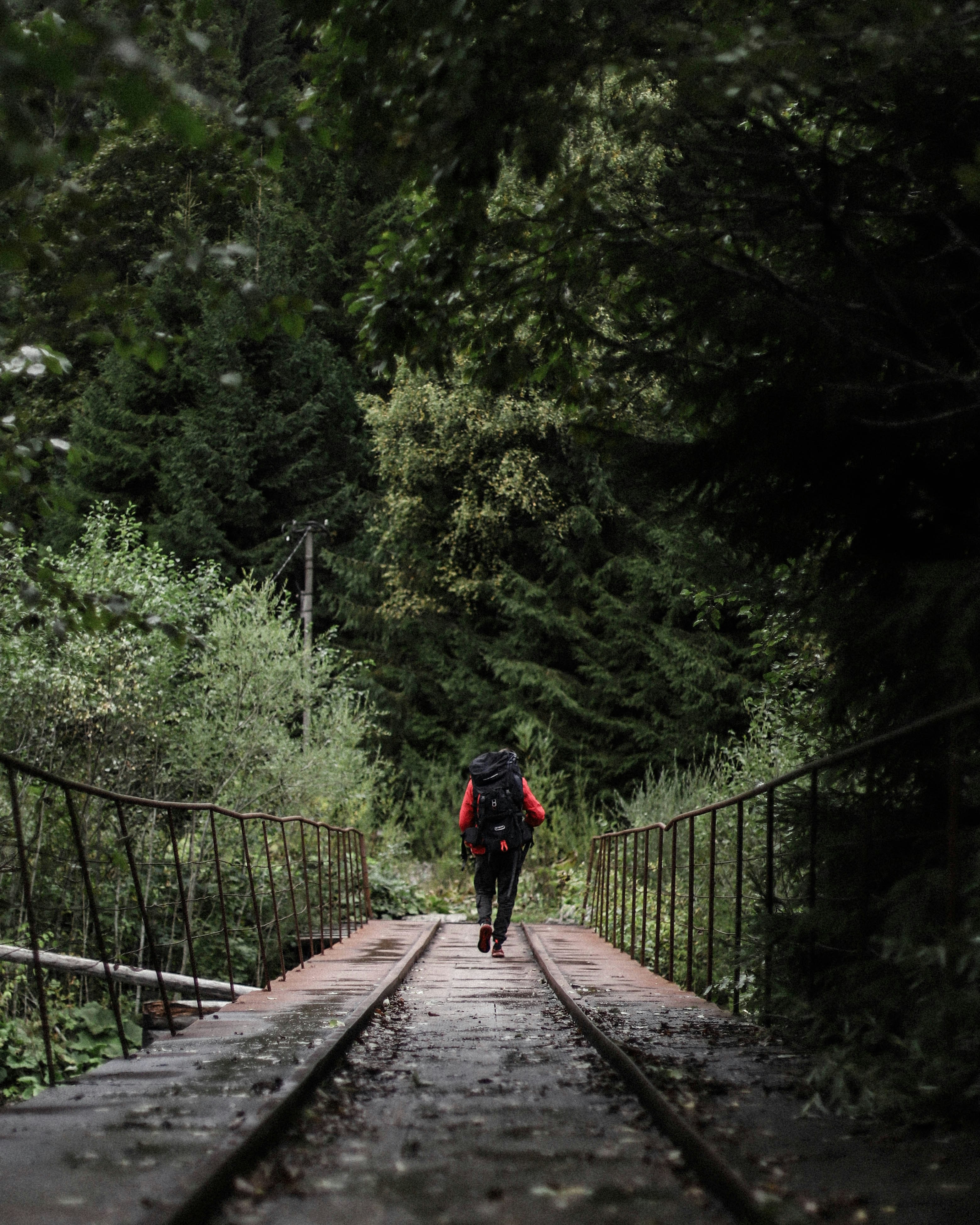 Photo by sasharubaniuk