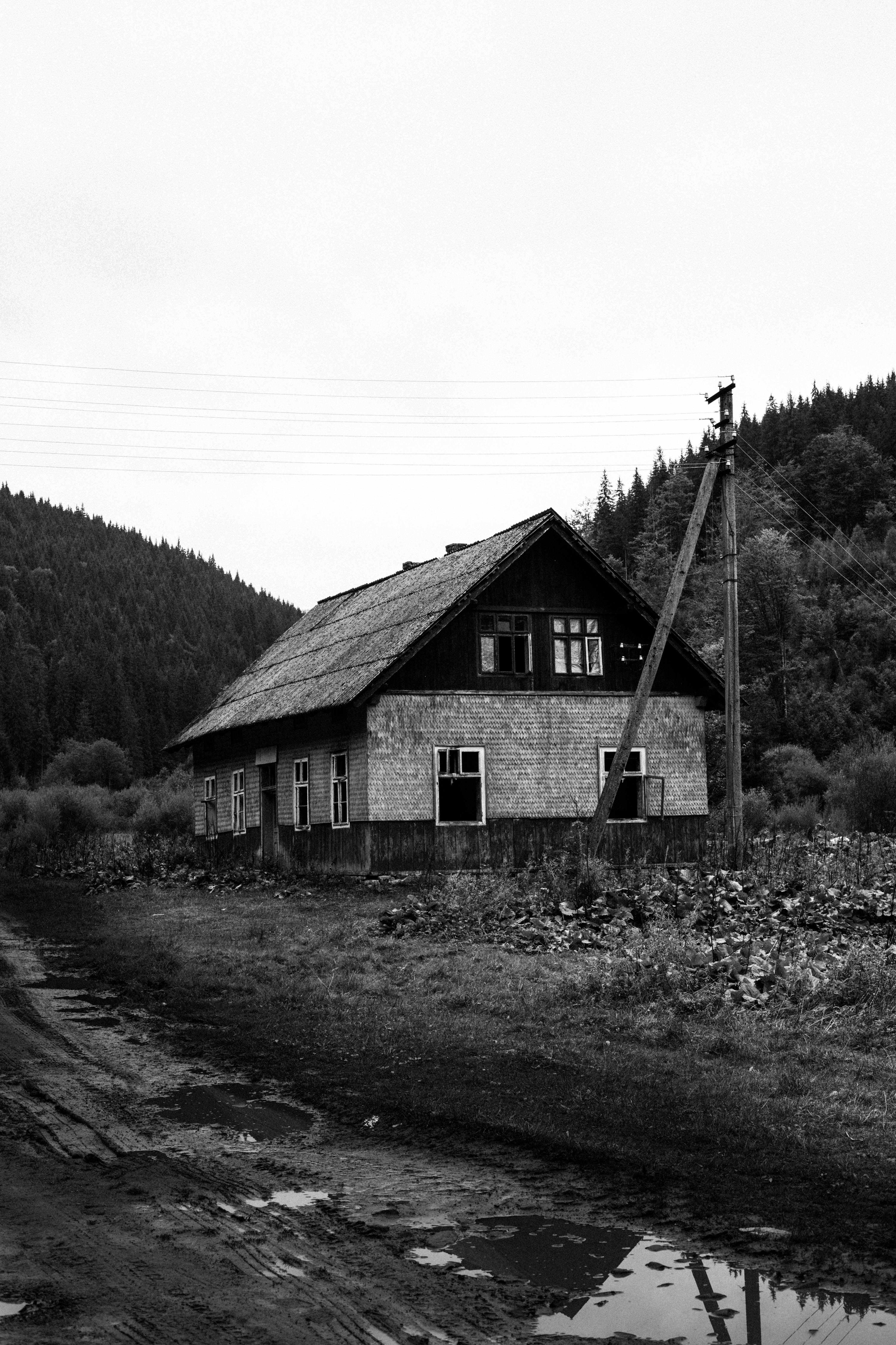 Photo by sasharubaniuk