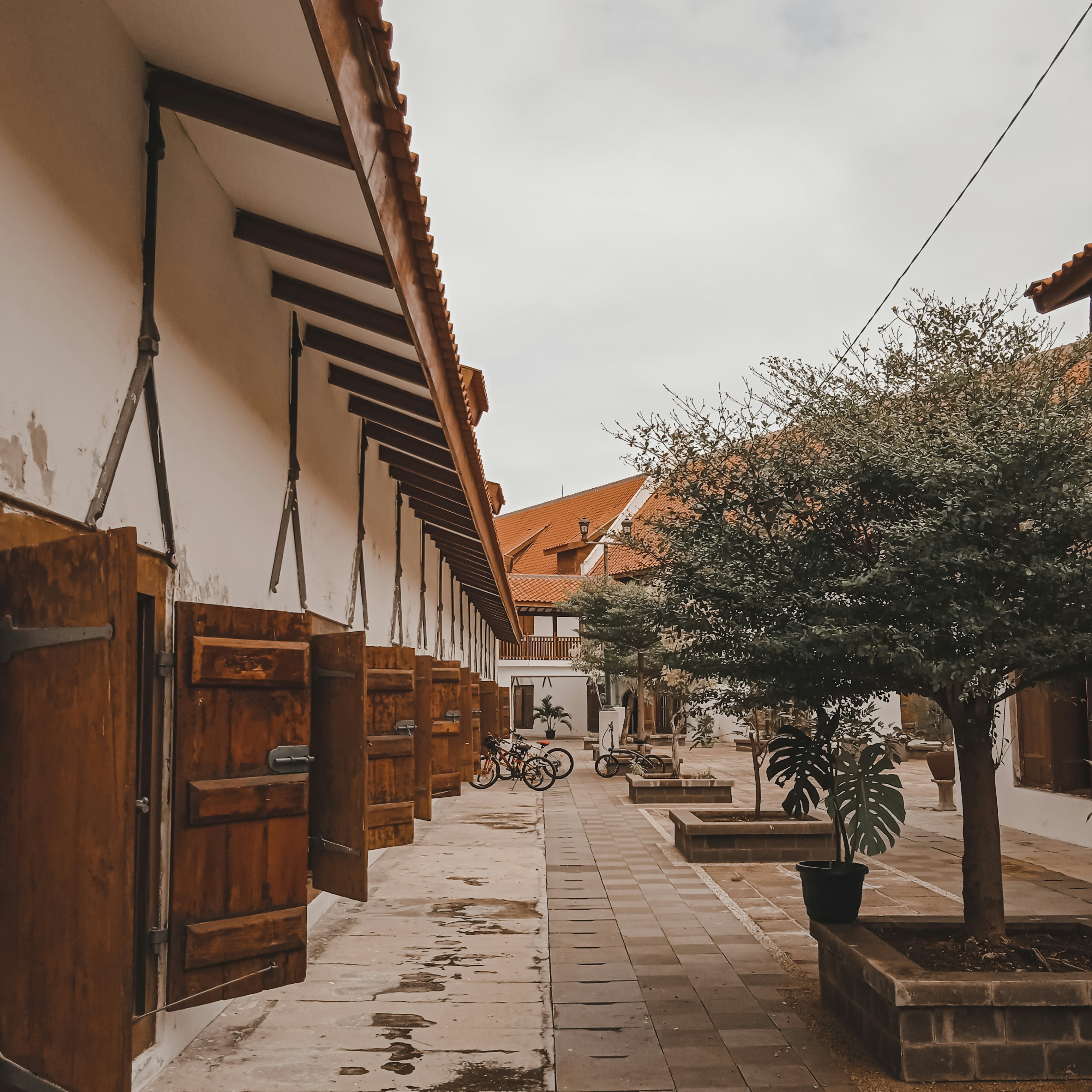 eine Gasse mit einem Baum und einem seitlich geparkten Fahrrad
