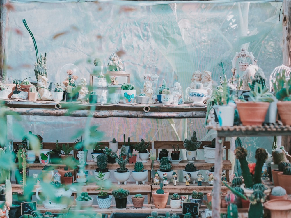 a room filled with lots of potted plants