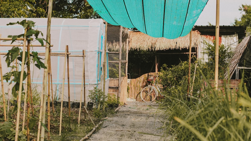 a house with lots of plants in front of it