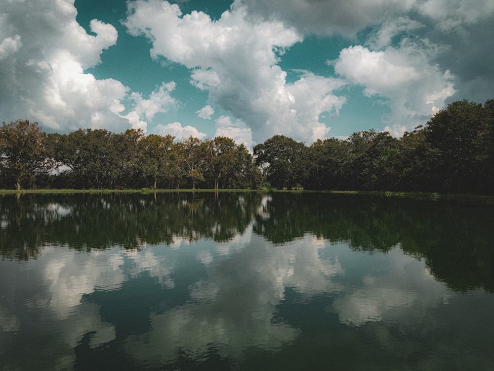 a body of water surrounded by trees under a cloudy sky