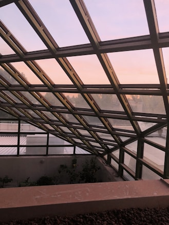 A slanted glass roof structure with a metal frame allows a view of the outdoors. The sky visible through the glass is a gradient of soft pink and blue hues, suggesting either sunrise or sunset. Below the glass structure, there are some leafy plants and shrubs, with a few rooftops seen at a distance.