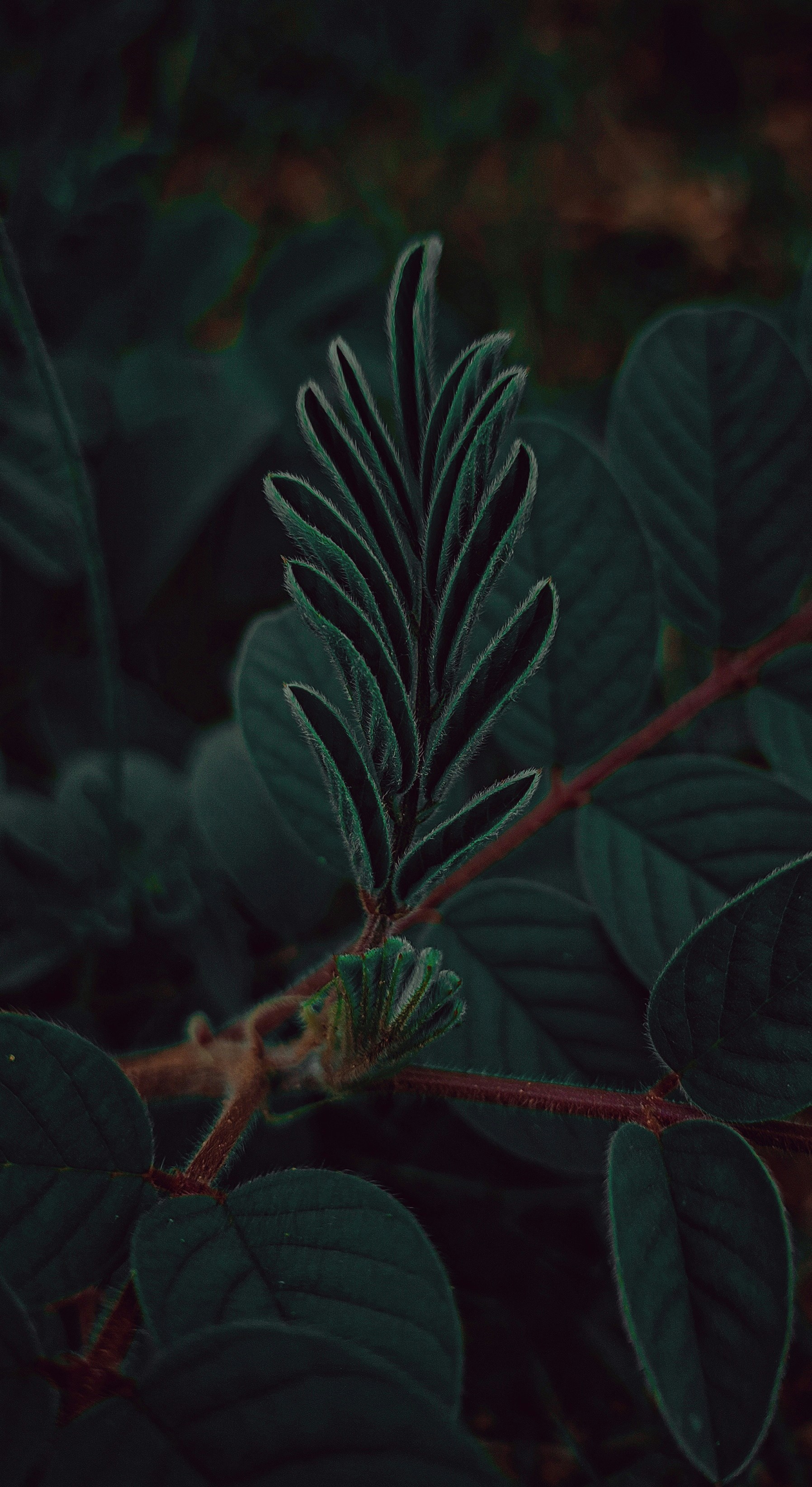 Photo by varunphotos