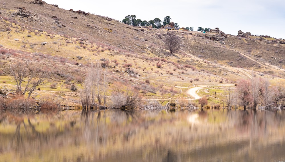 a body of water surrounded by a lush green hillside