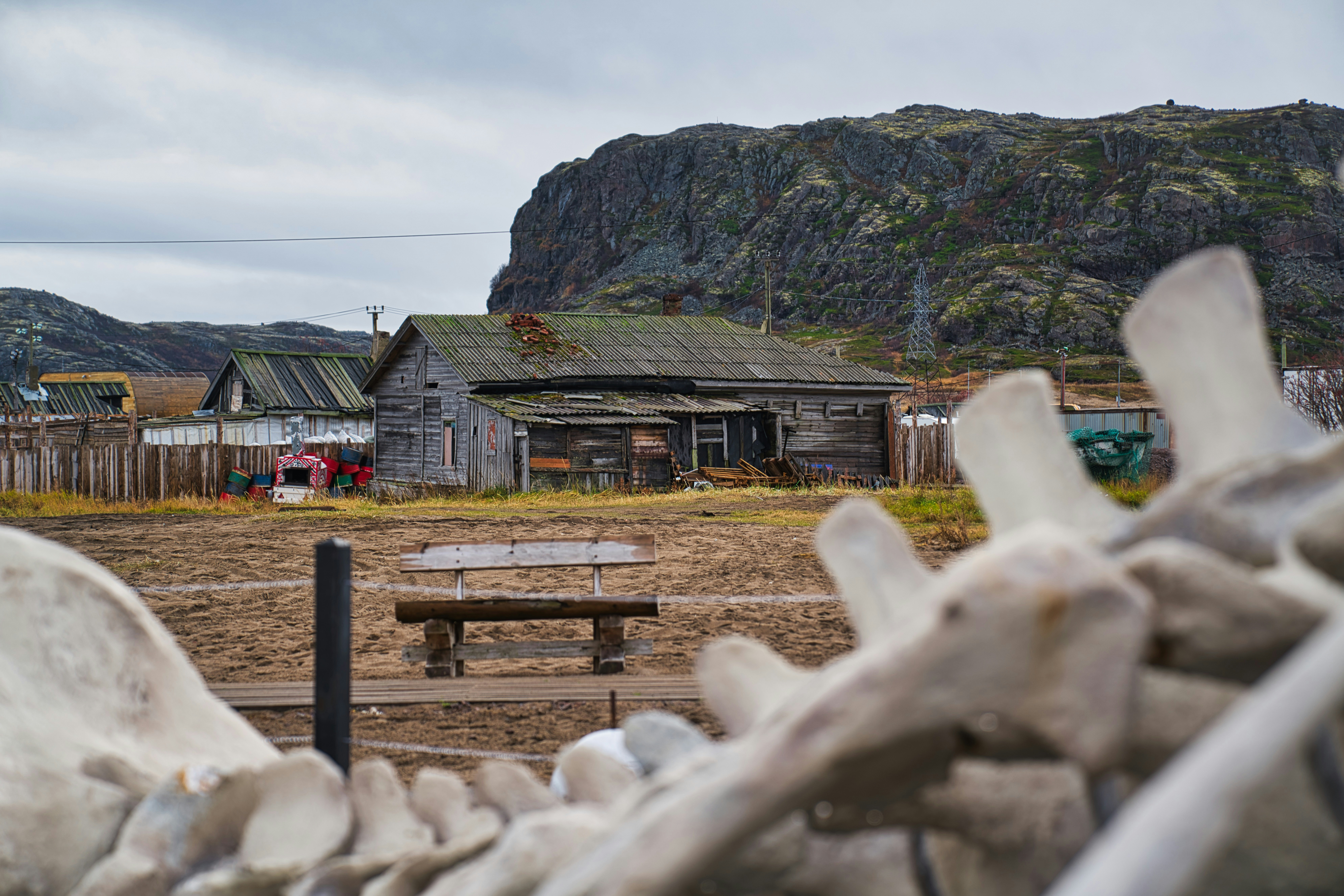 Leviathan – Russisk film når det er bedst