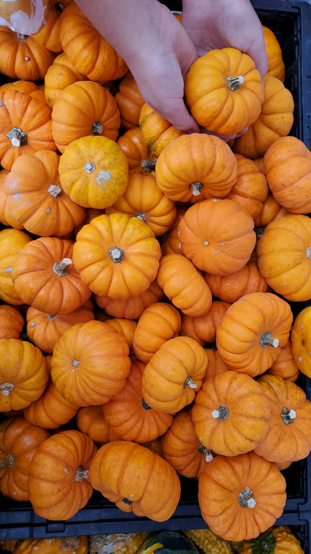 a pile of orange pumpkins sitting on top of each other