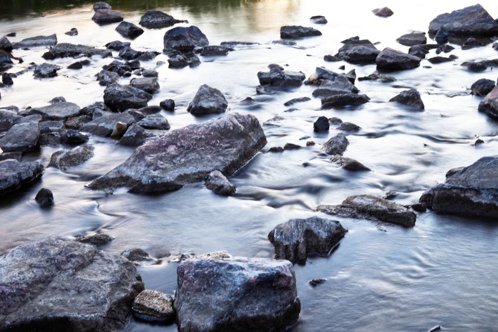 a river filled with lots of rocks next to a forest