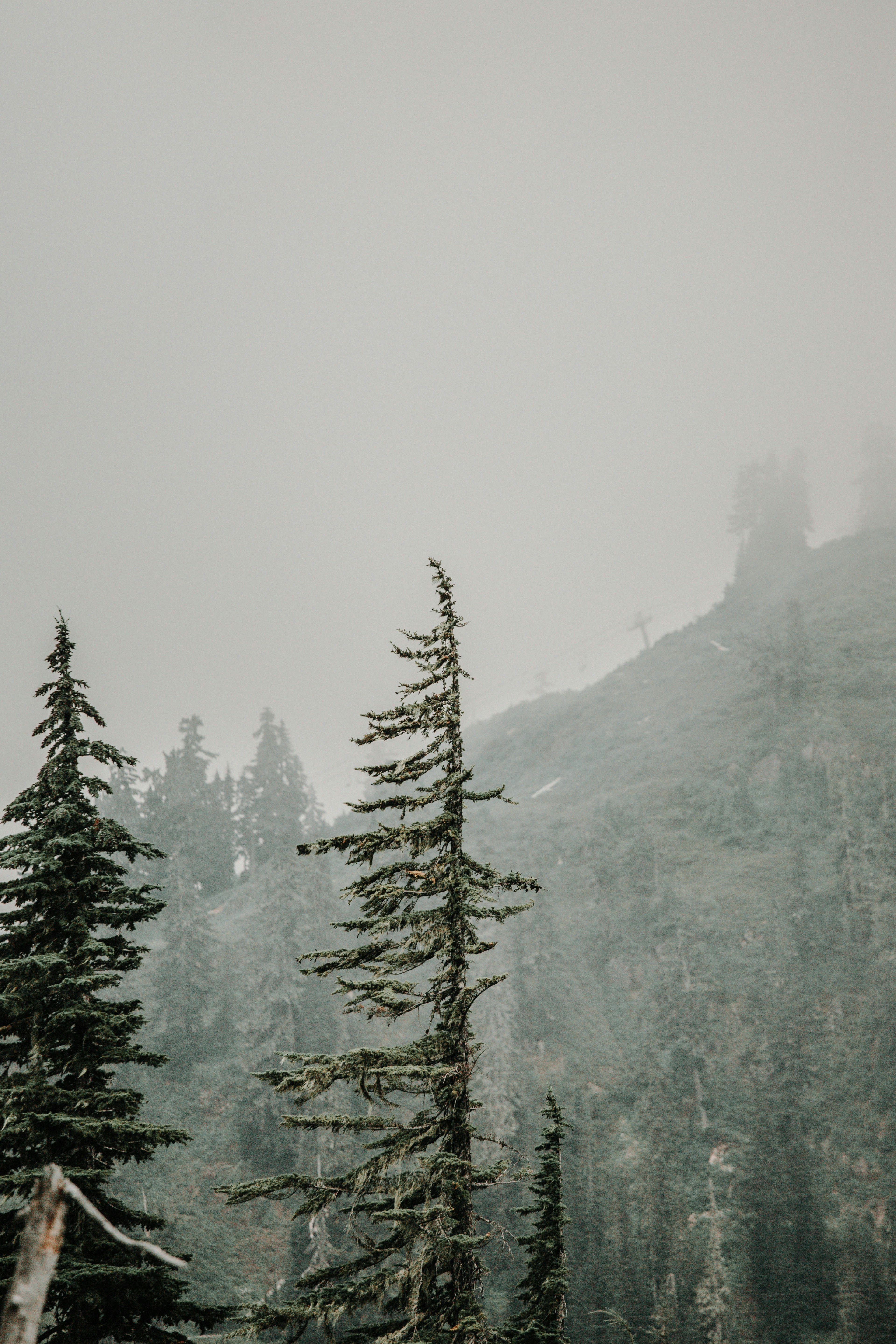 Photo by joelswick