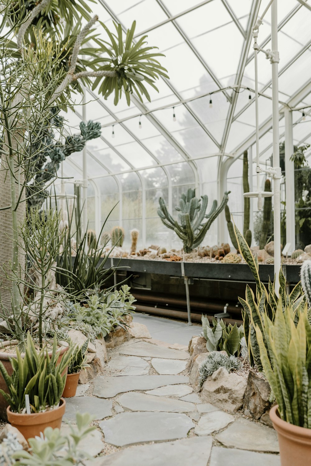 a greenhouse filled with lots of different types of plants