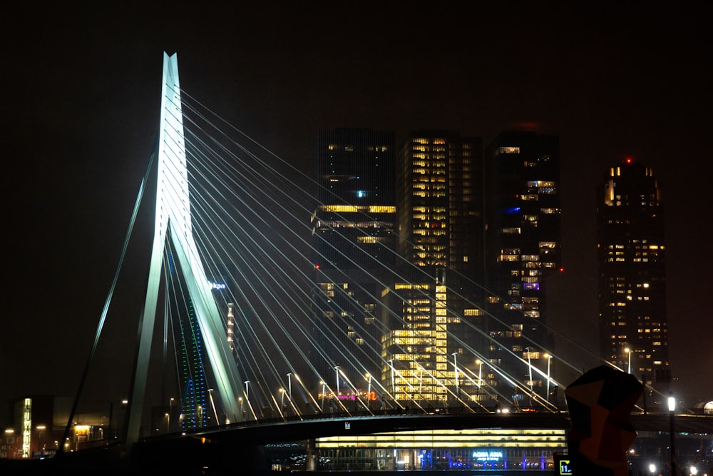 a very tall bridge spanning over a city at night