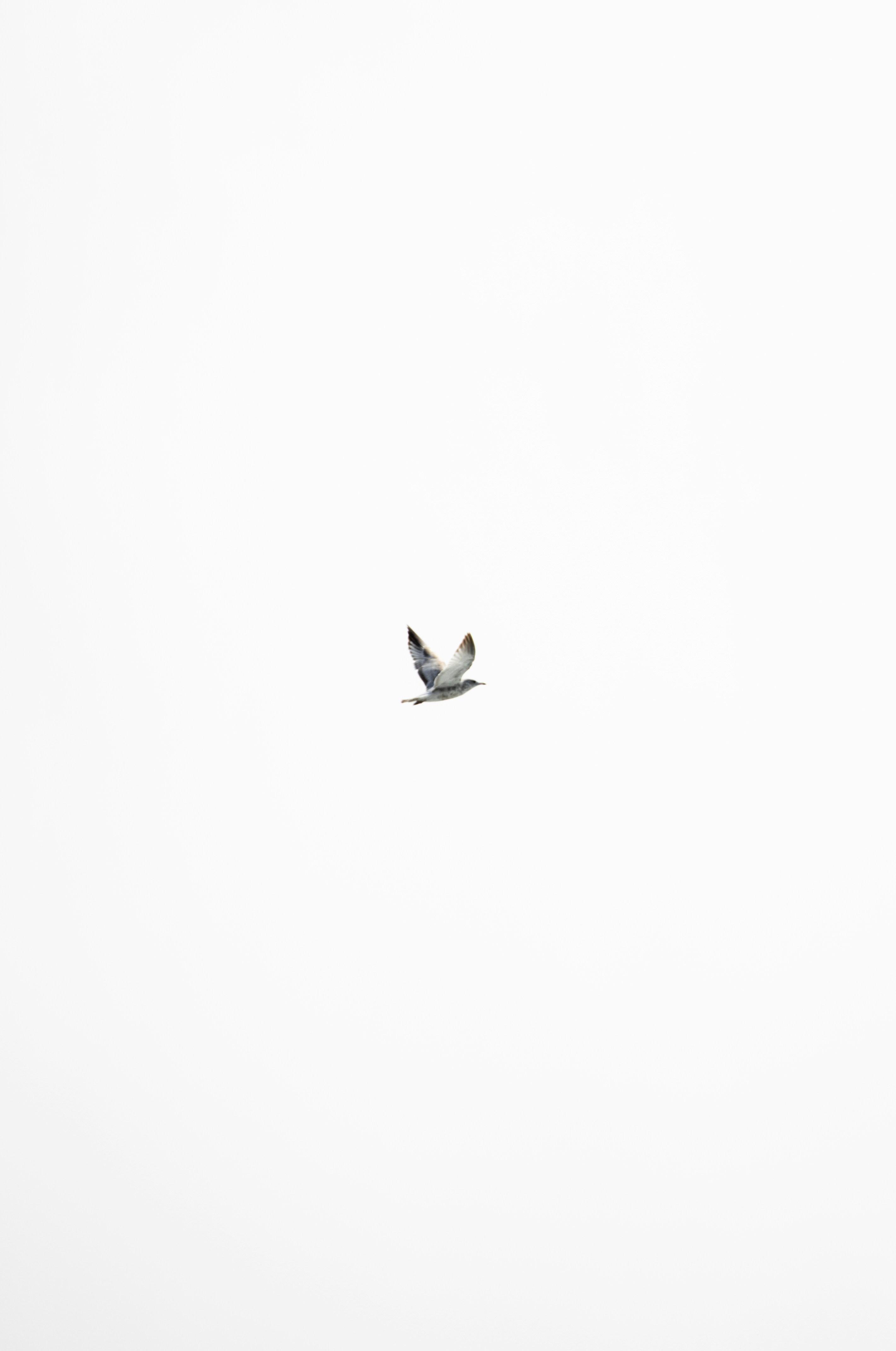 Photo by kyddvisuals