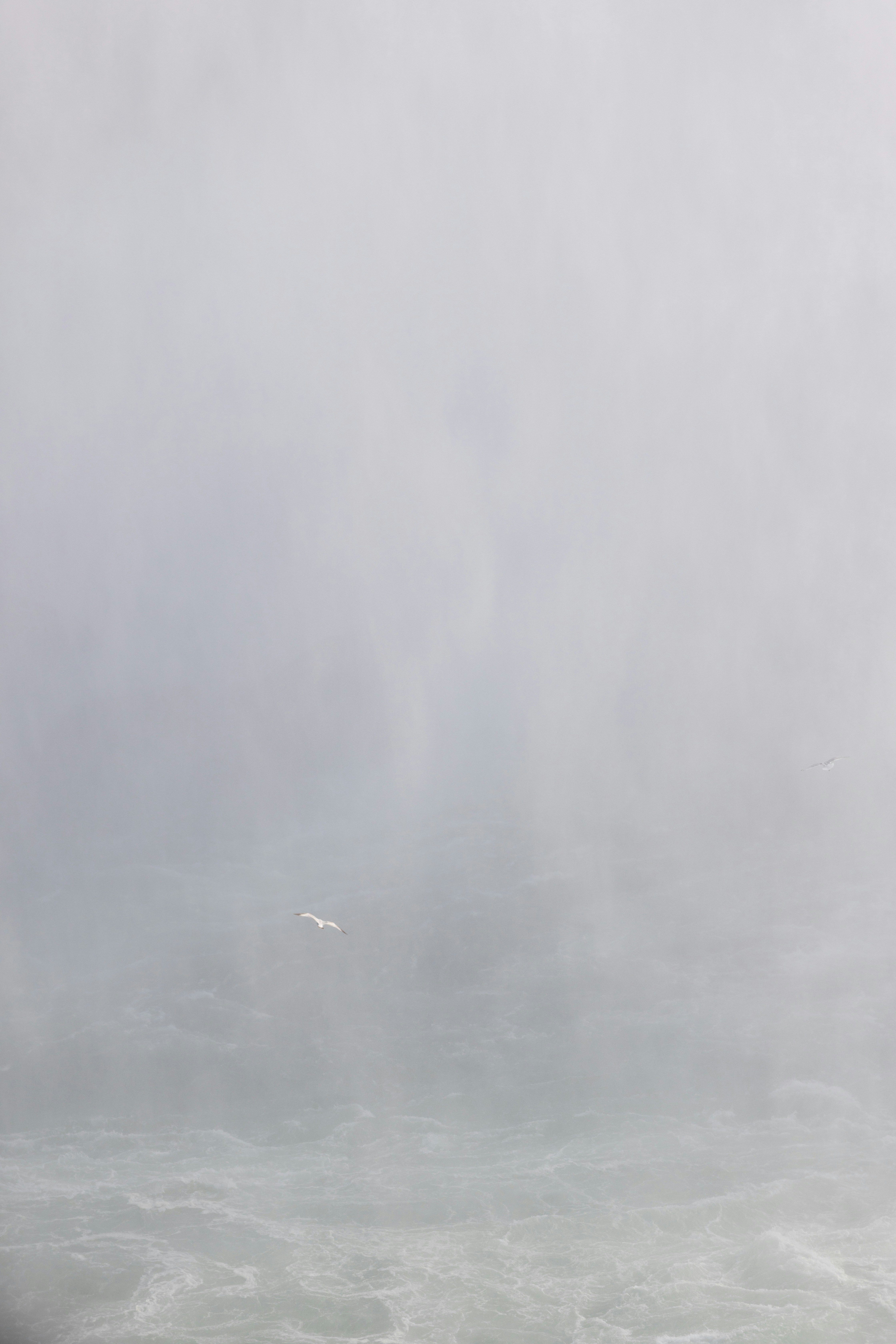 Photo by kyddvisuals