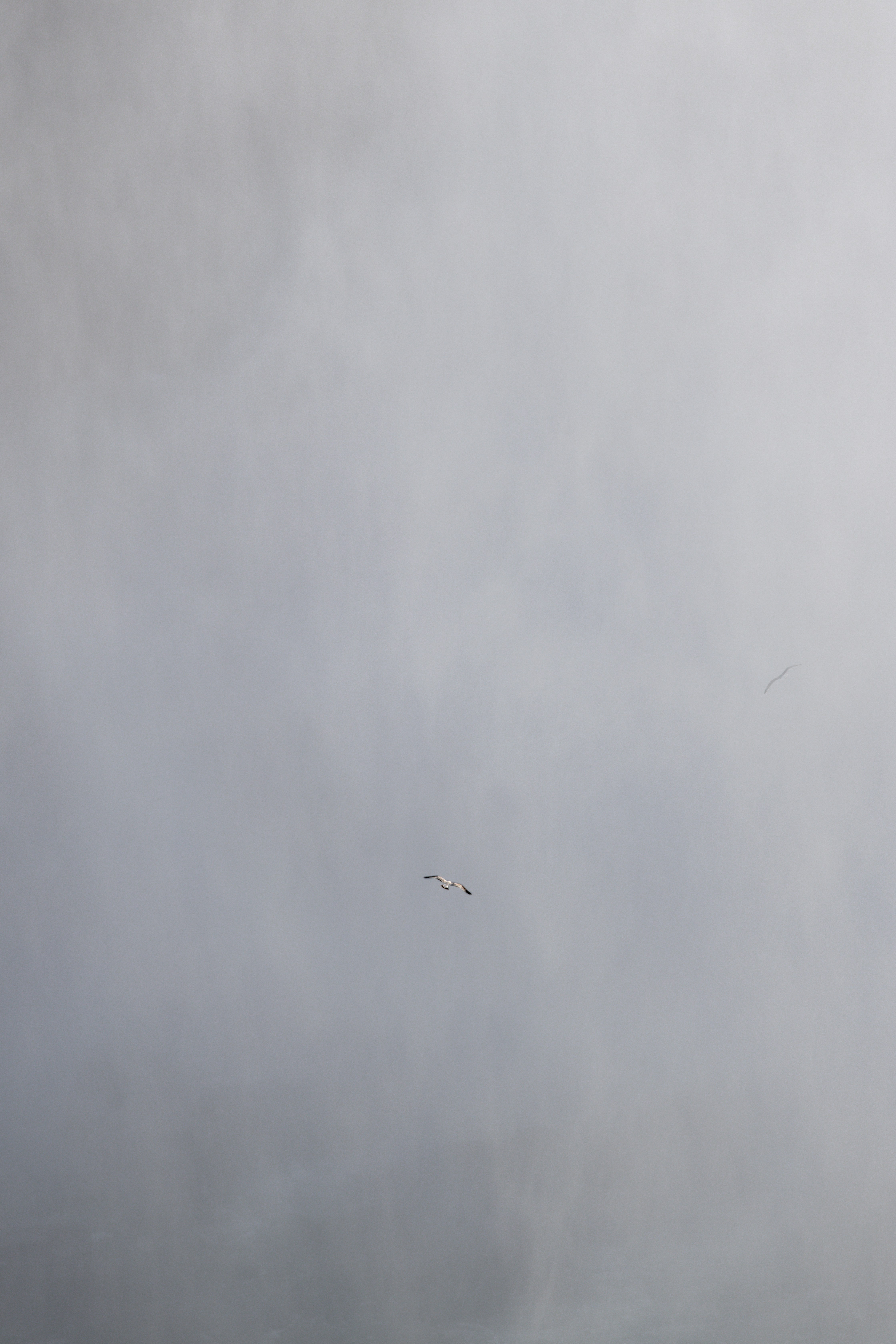 Photo by kyddvisuals