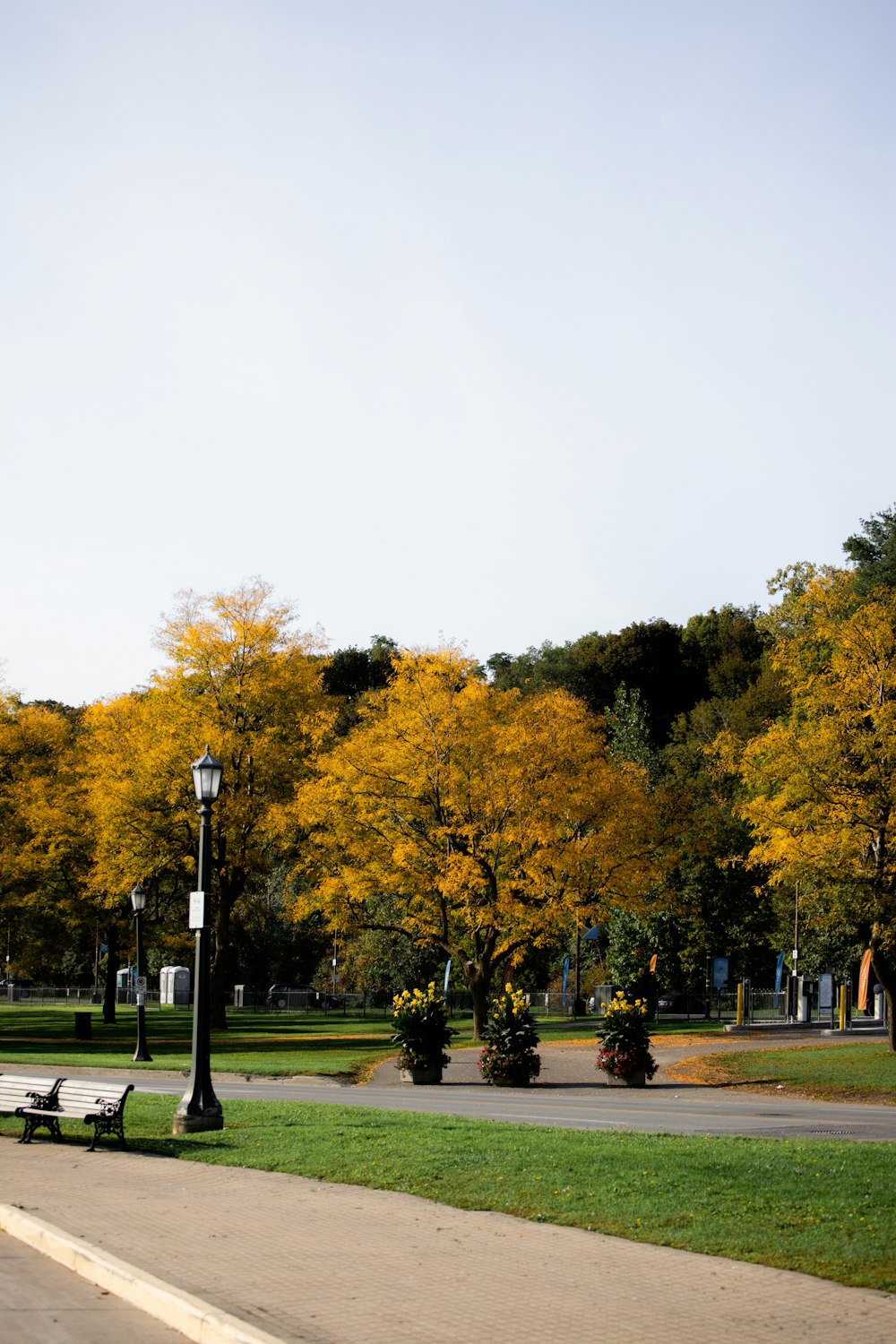 a park with a bench and trees with yellow leaves