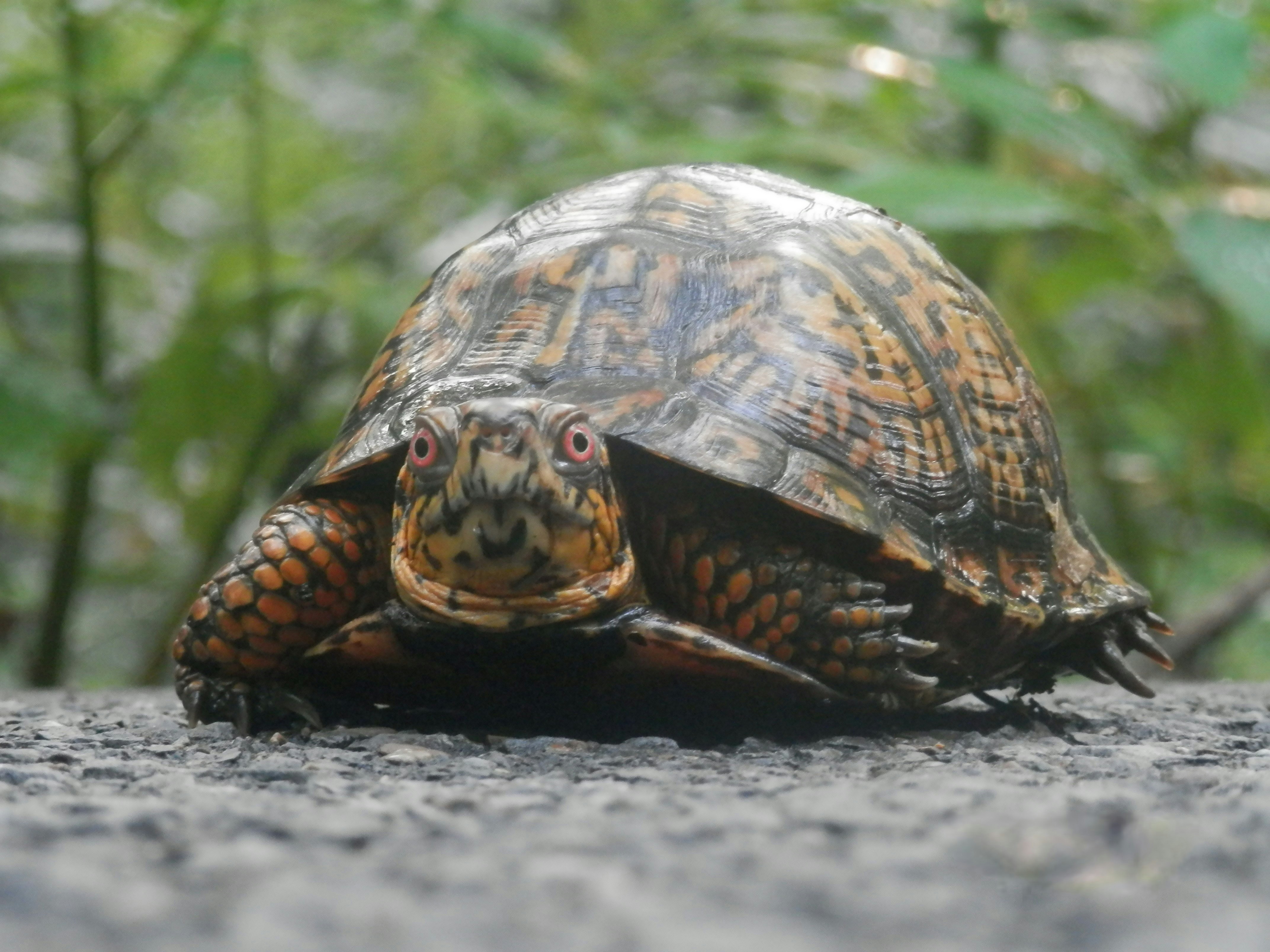 Photo by whereabouts