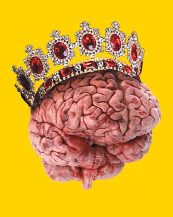 A human brain is depicted wearing a jeweled crown adorned with large red gemstones against a bright yellow background.