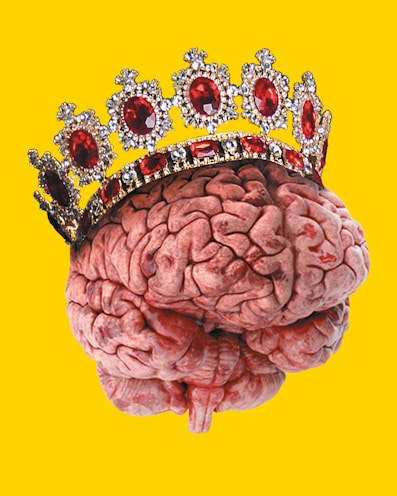 A human brain is depicted wearing a jeweled crown adorned with large red gemstones against a bright yellow background.
