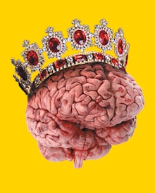 A human brain is depicted wearing a jeweled crown adorned with large red gemstones against a bright yellow background.