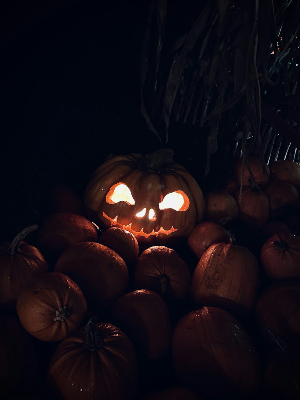 Una calabaza con ojos brillantes rodeada de calabazas